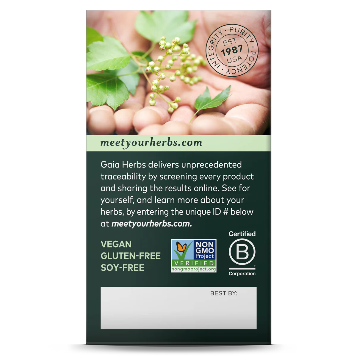 Everyday Immune - Mushrooms & Herbs - Image 4