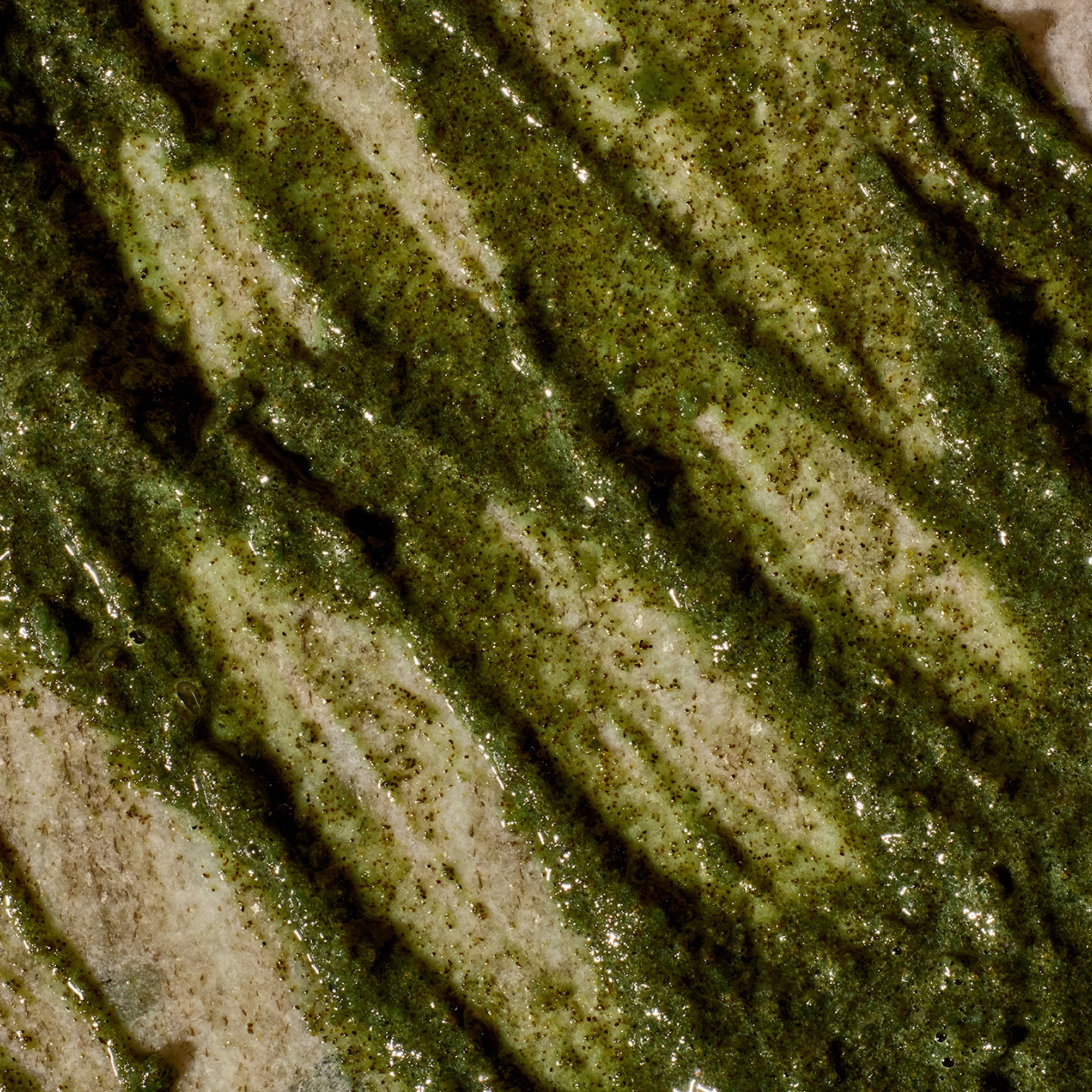 Exfoliating Facial Cleanser - Image 3