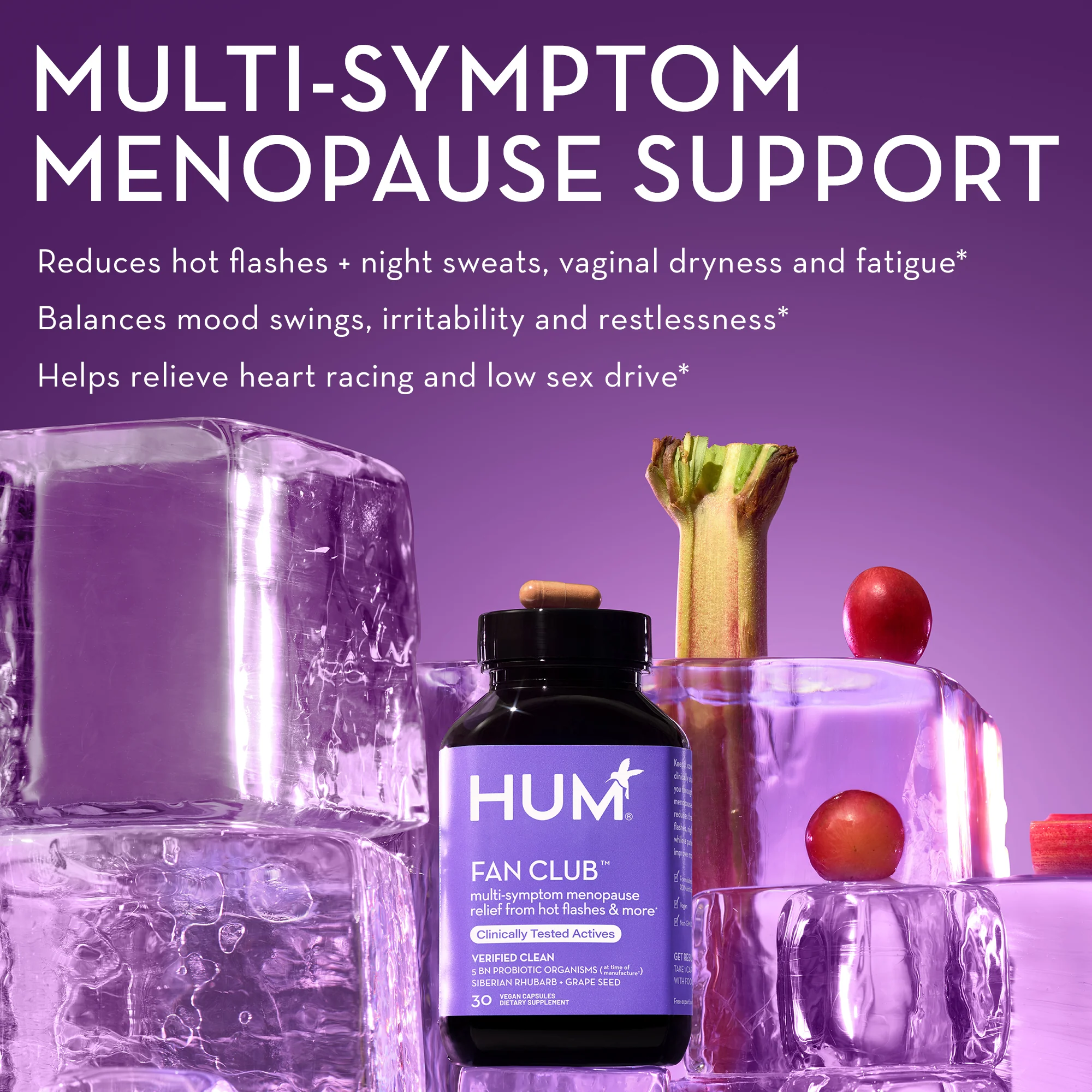 Fan Club Menopause Relief - For Hot Flashes - Image 7