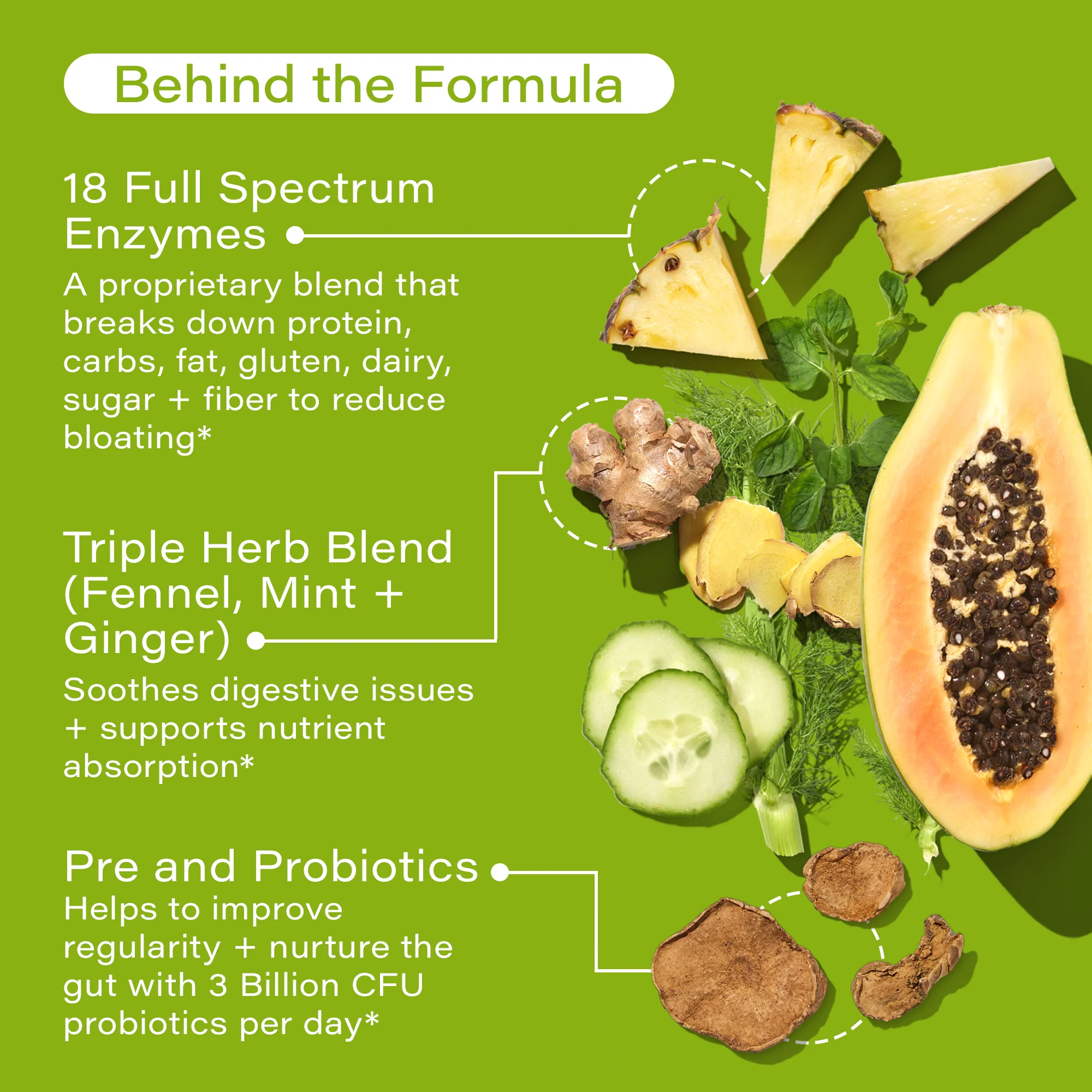Flatter Me -  Debloat Enzymes + Pre and Probiotics For Regularity - Image 2