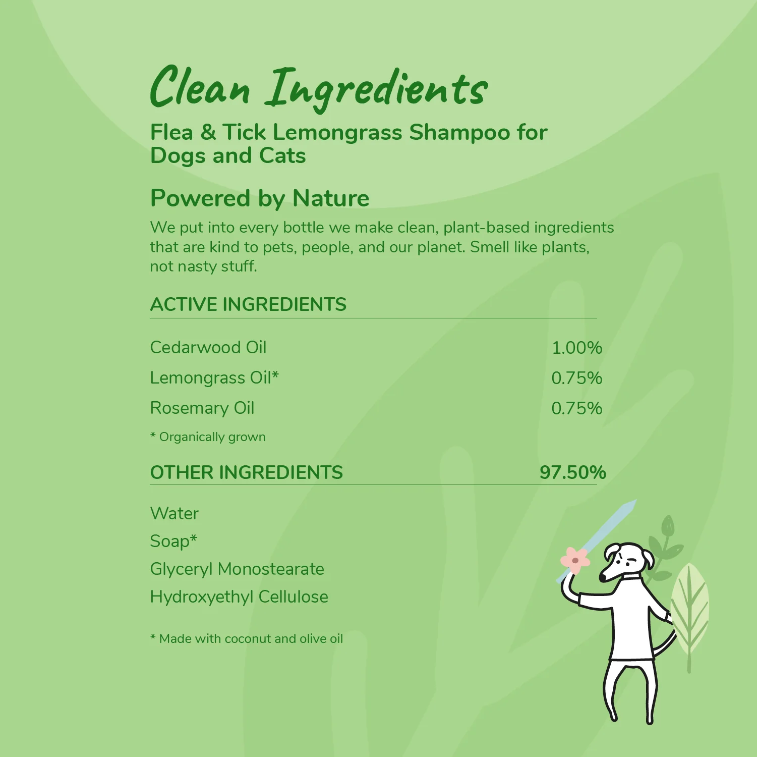 Flea+Tick Protect Shampoo - Image 4