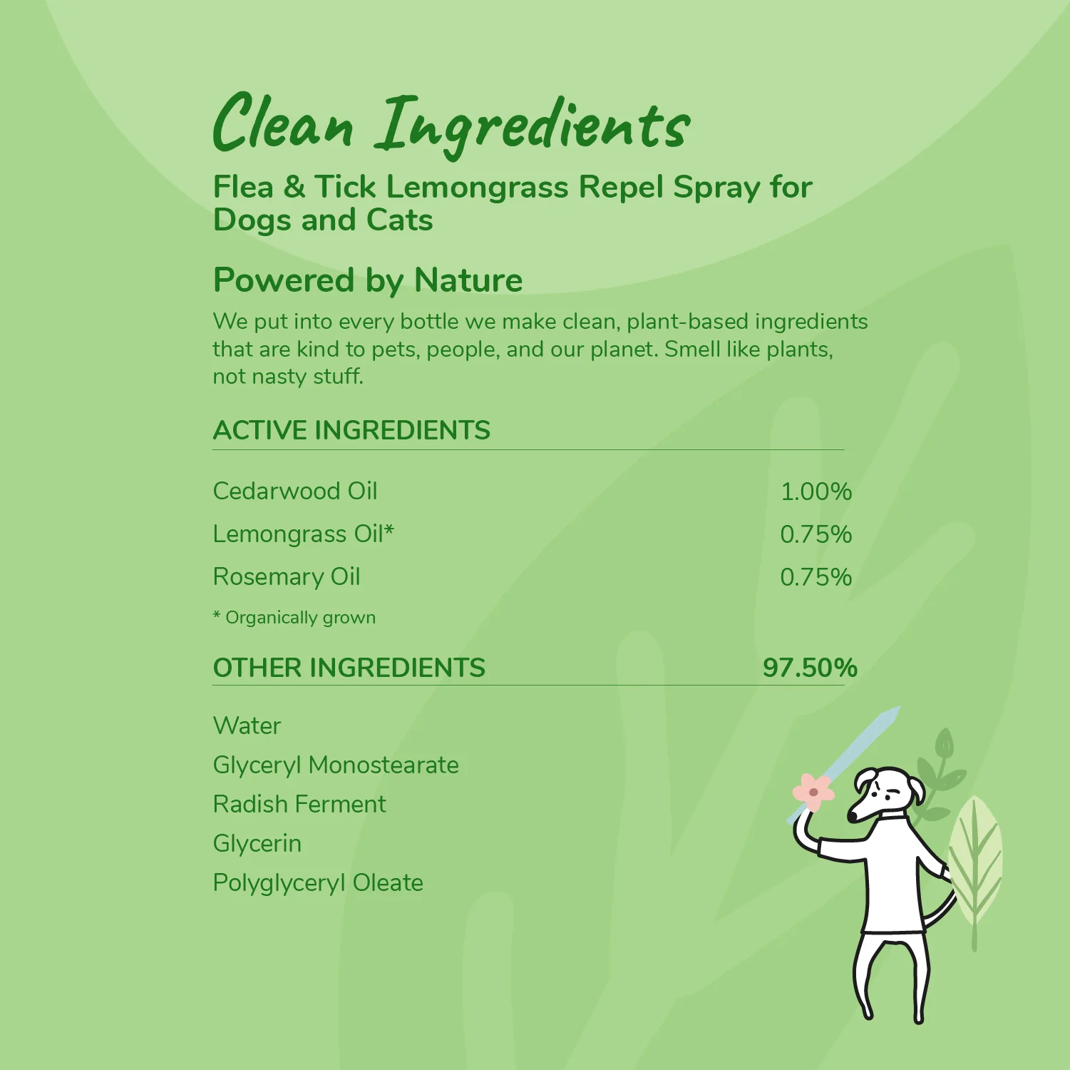 Pet Flea & Tick Protect Spray for Dogs - Image 5