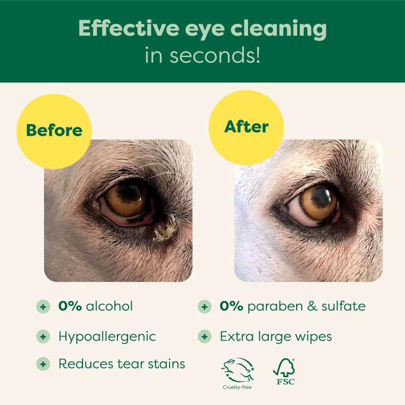 Dog Eye Wipes - Image 2