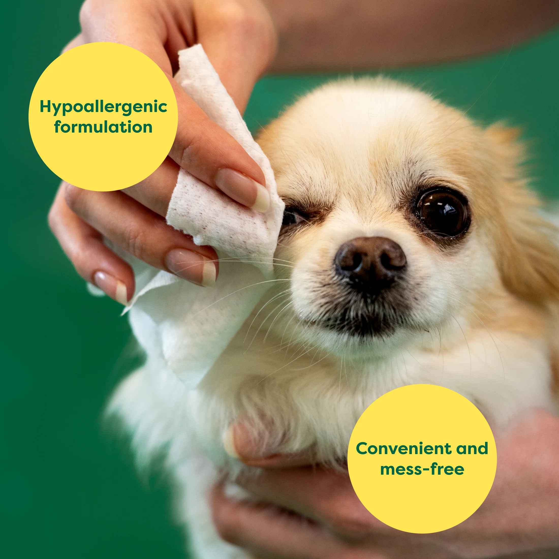 Dog Eye Wipes - Image 3
