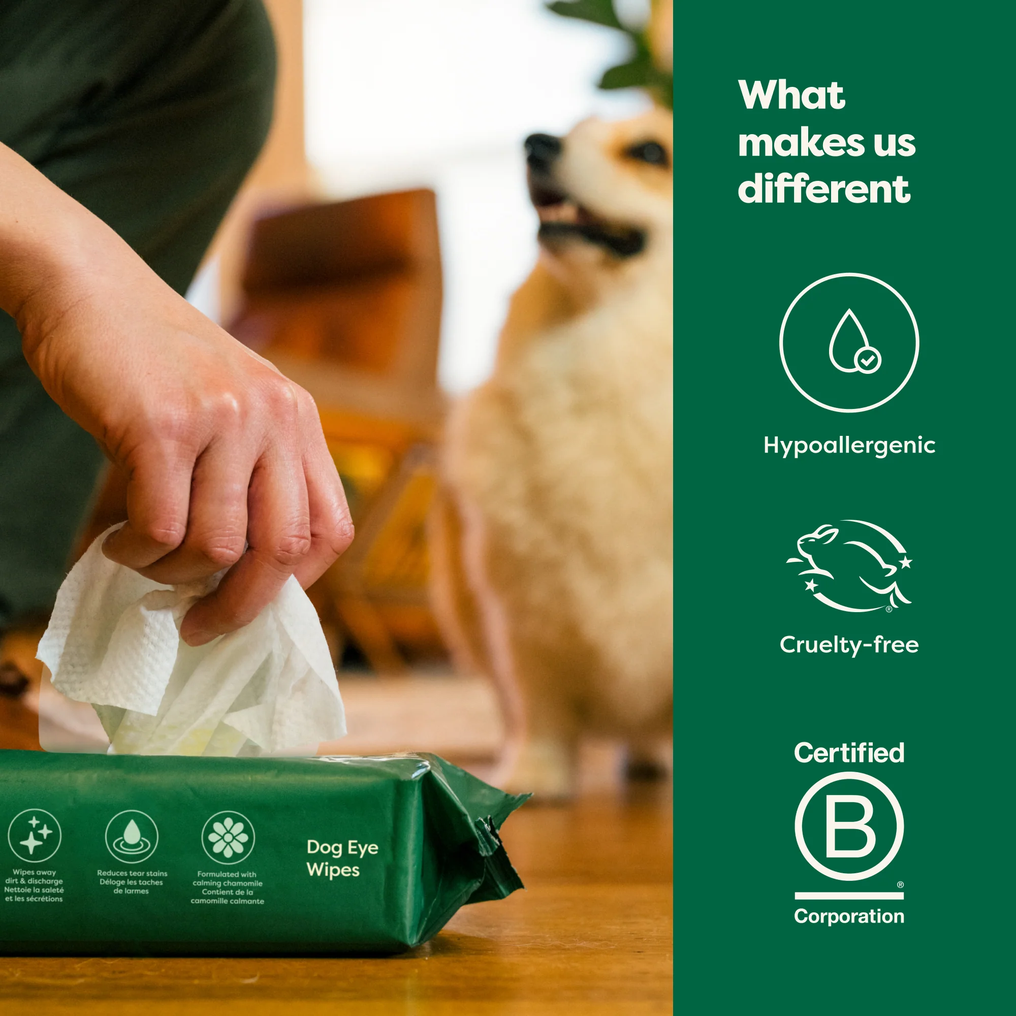 Dog Eye Wipes - Image 6