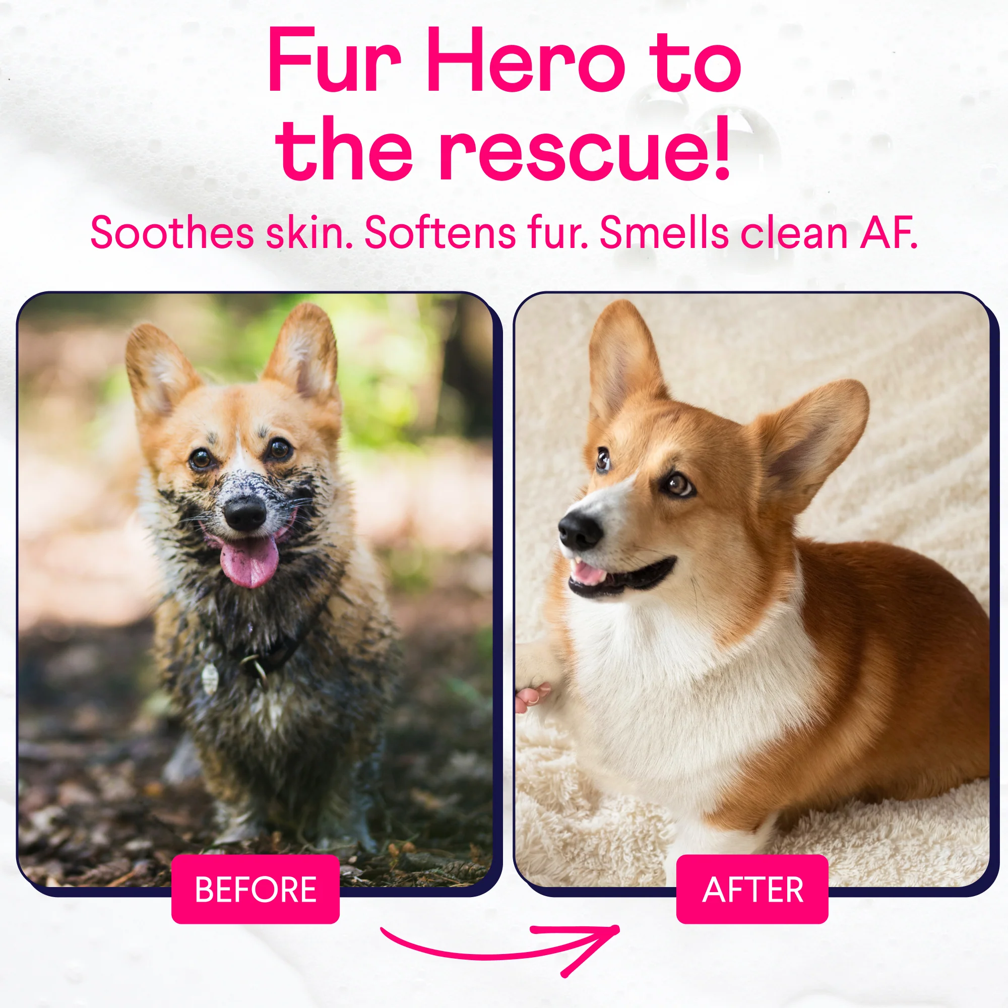 Fur Hero Shampoo for Dogs - Image 4