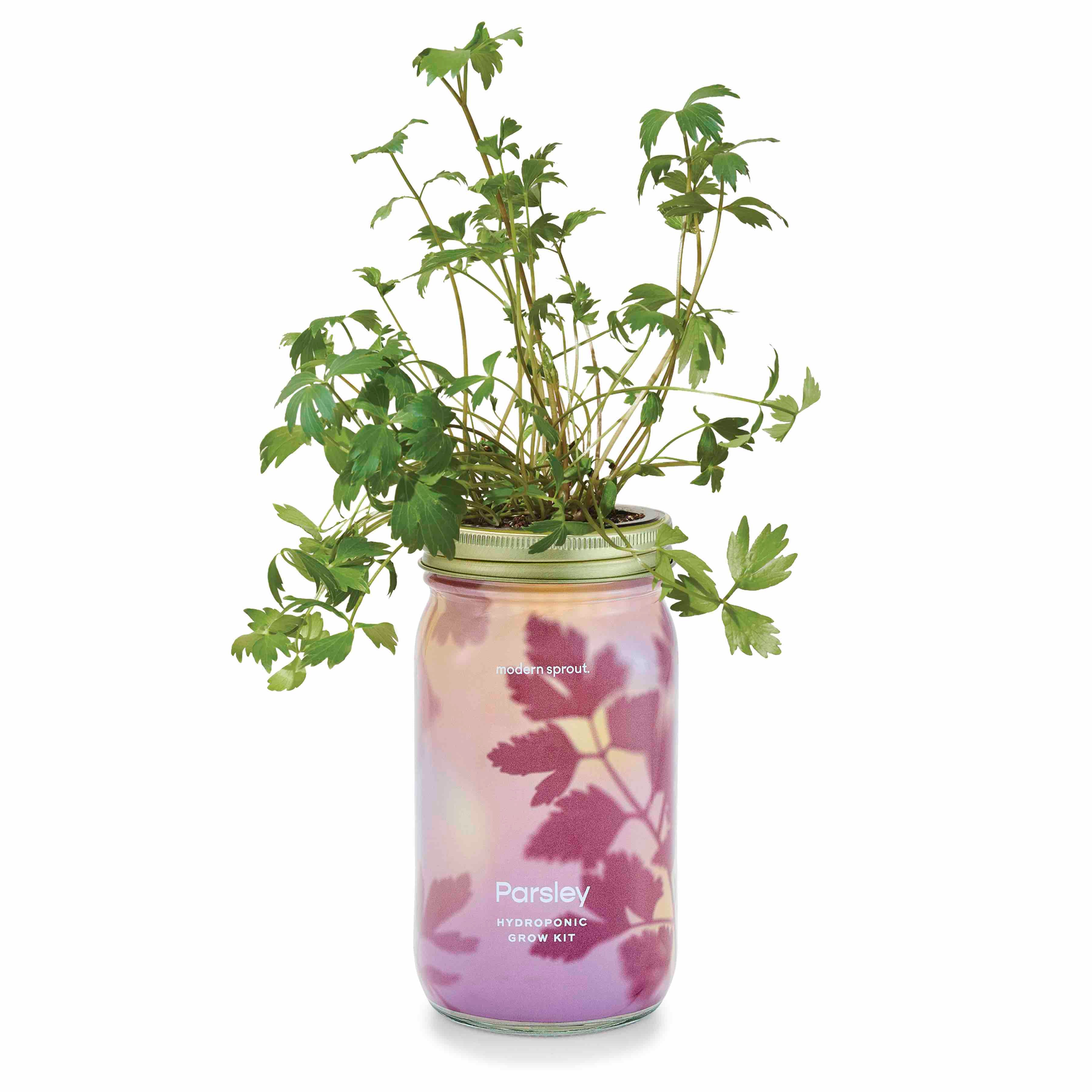 Garden Jar - Image 12