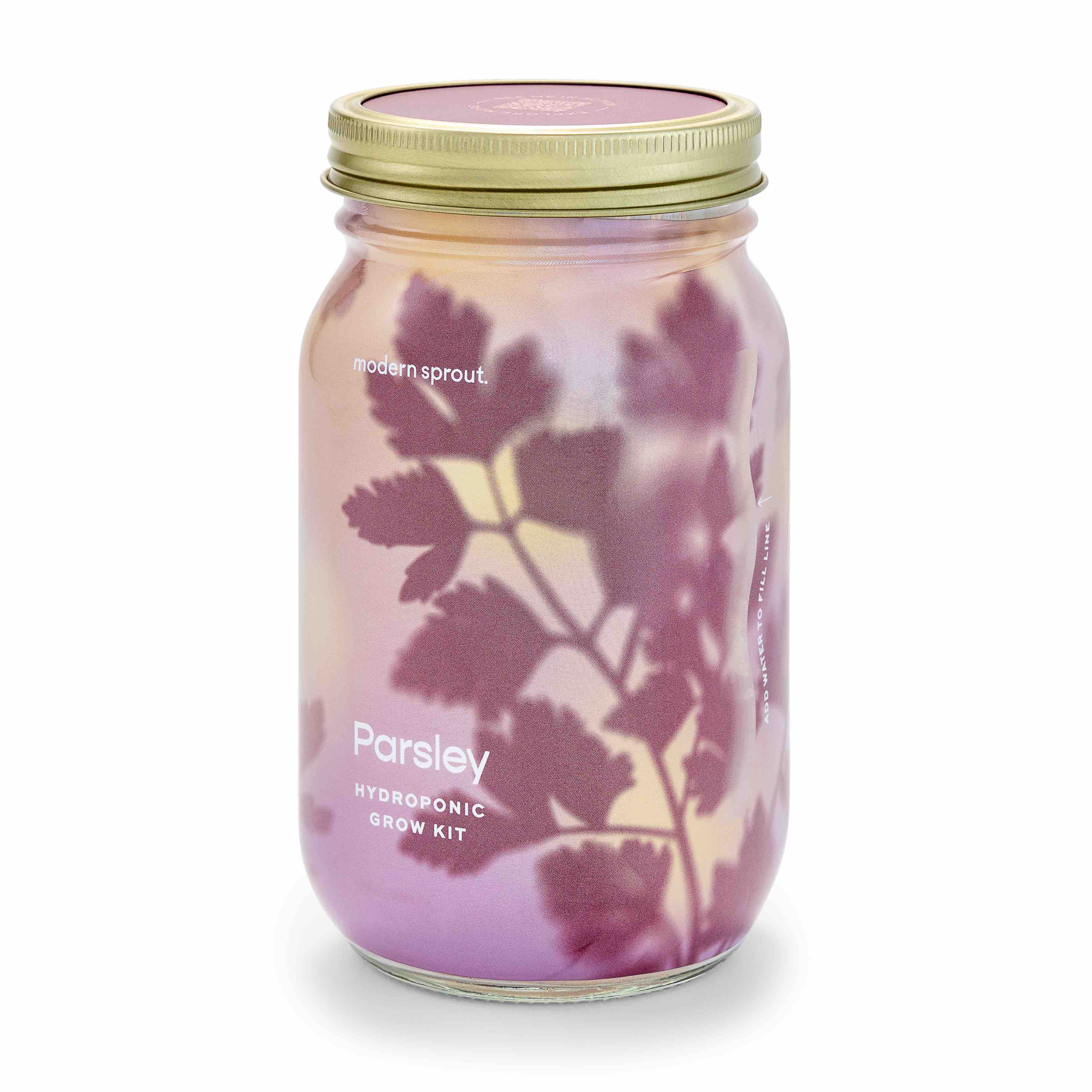 Garden Jar - Image 14