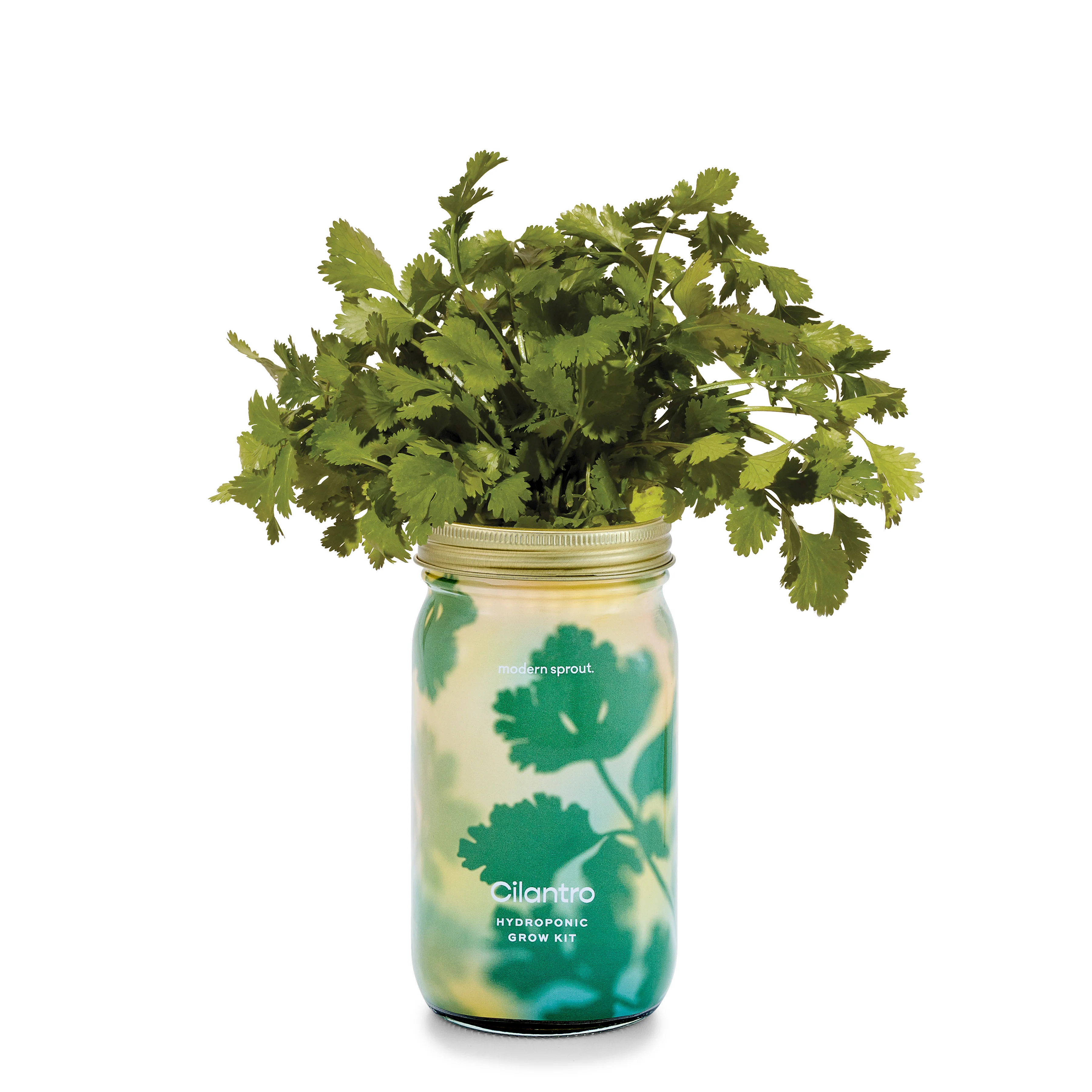 Garden Jar - Image 17