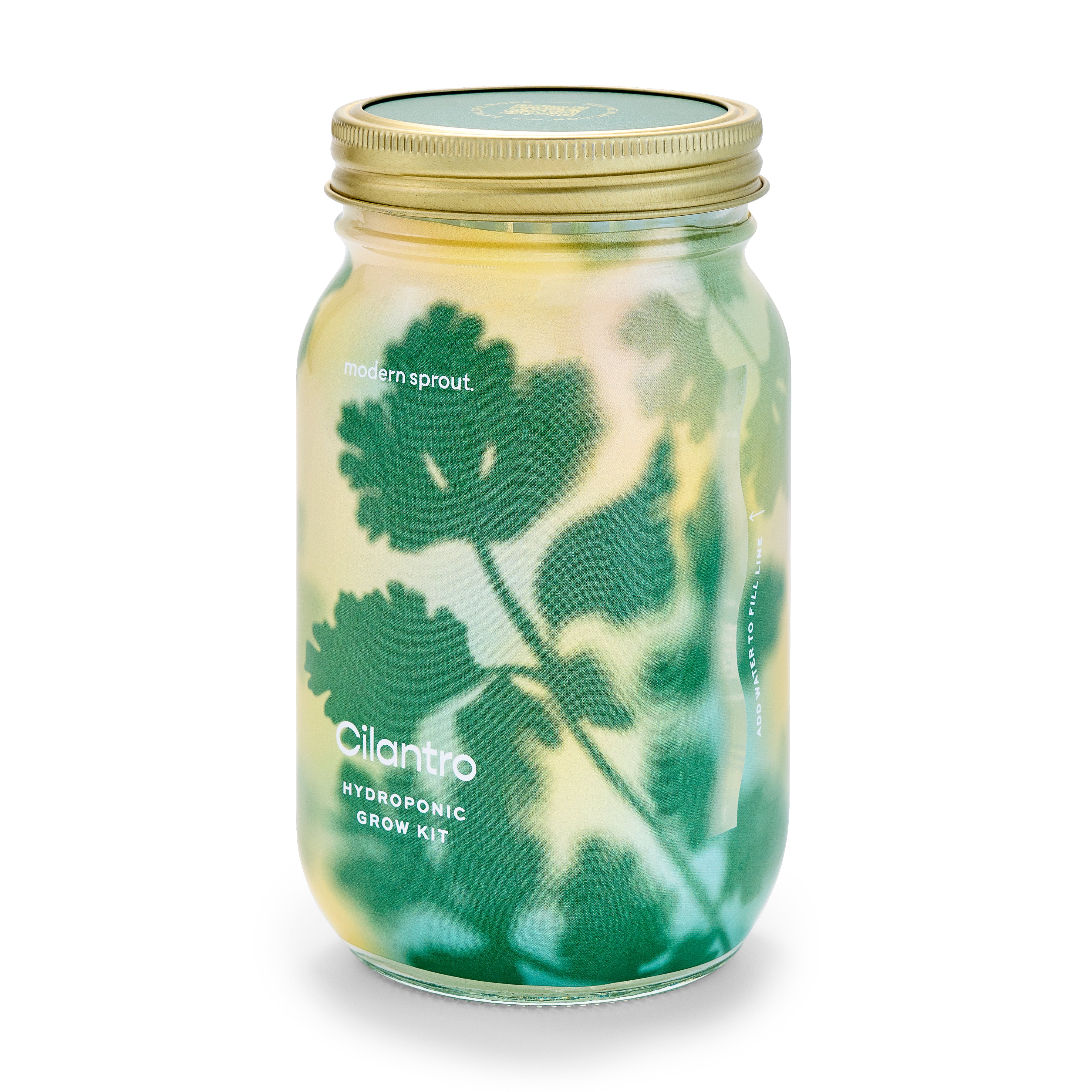 Garden Jar - Image 18