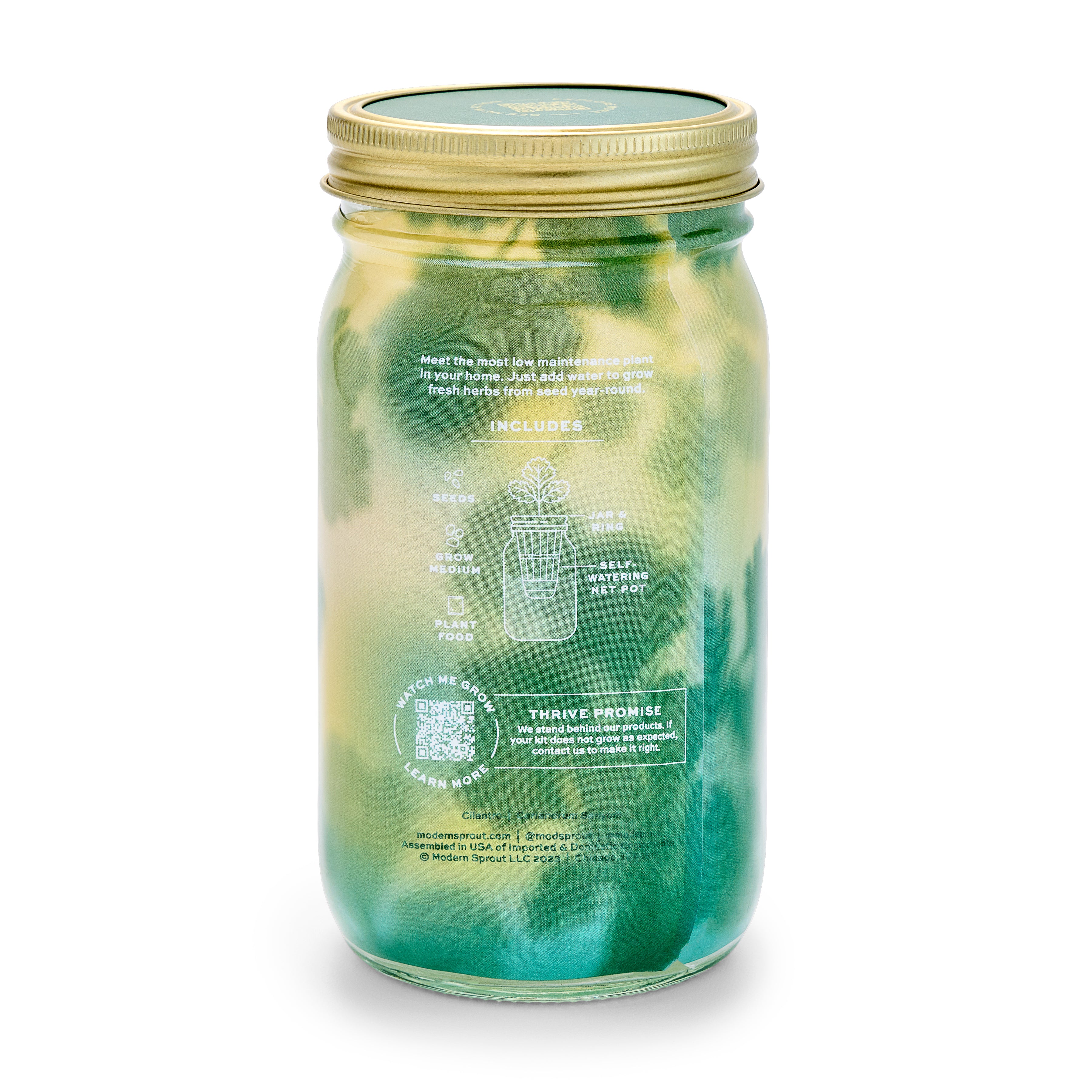 Garden Jar - Image 19