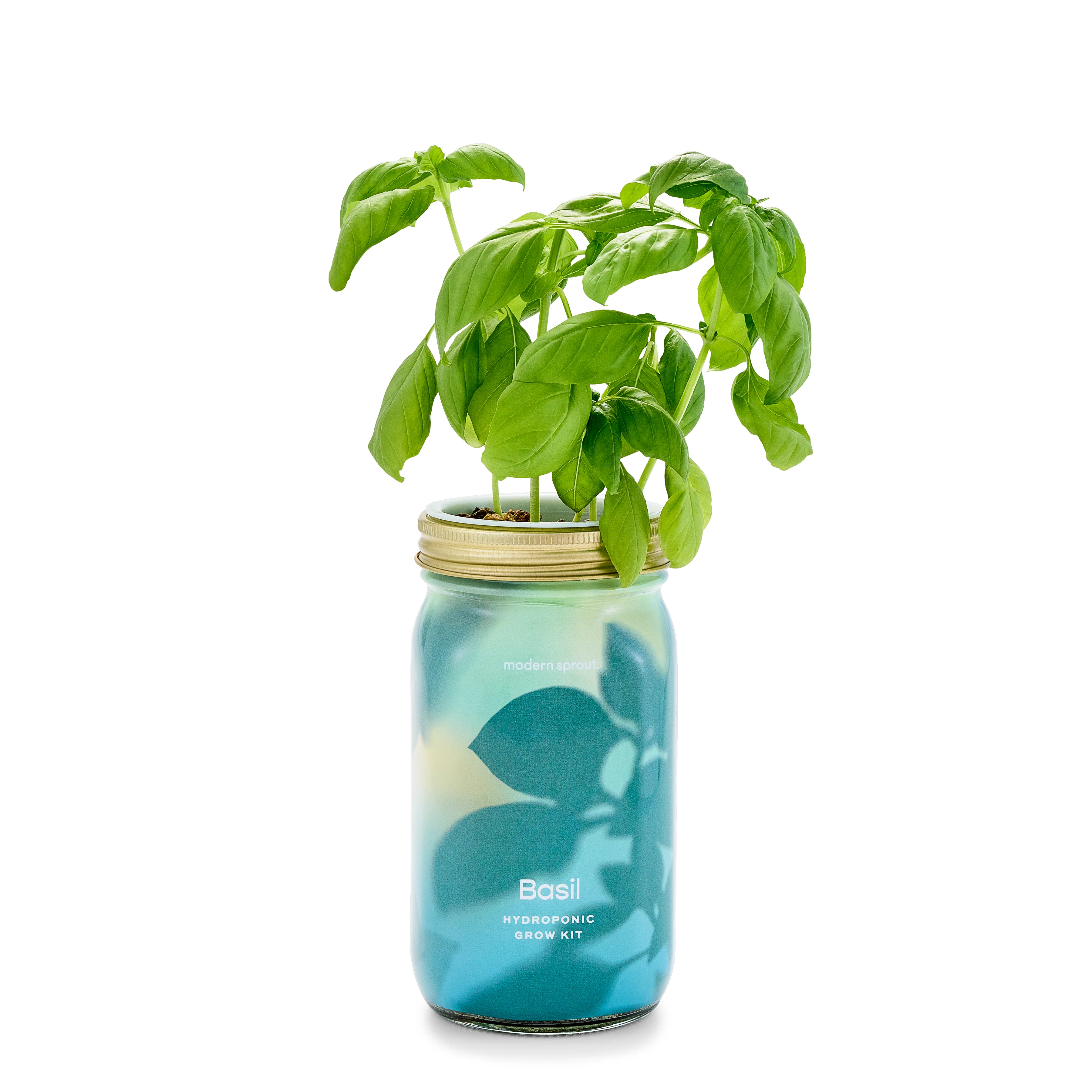 Garden Jar - Image 21