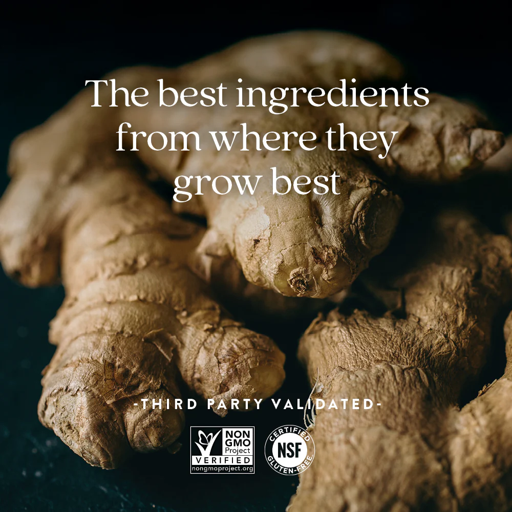 Ginger Force™, Digestion, Intestinal & Cardiovascular Health - Image 14