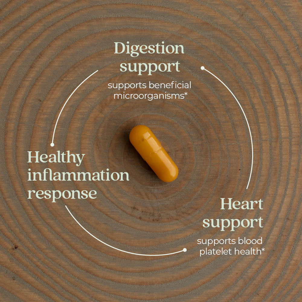 Ginger Force™, Digestion, Intestinal & Cardiovascular Health - Image 6