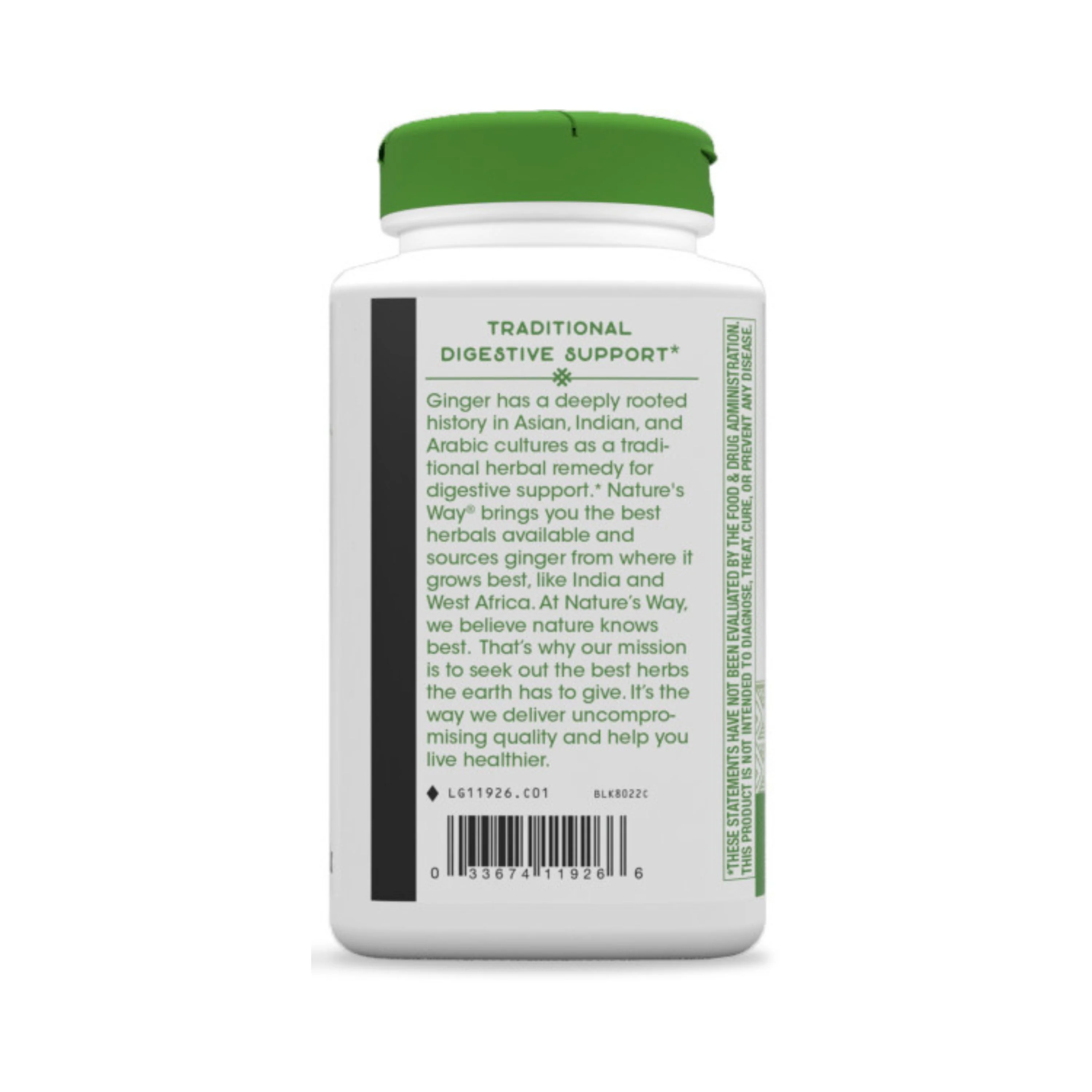 Ginger Root - For Traditional Digestive Support - Image 3