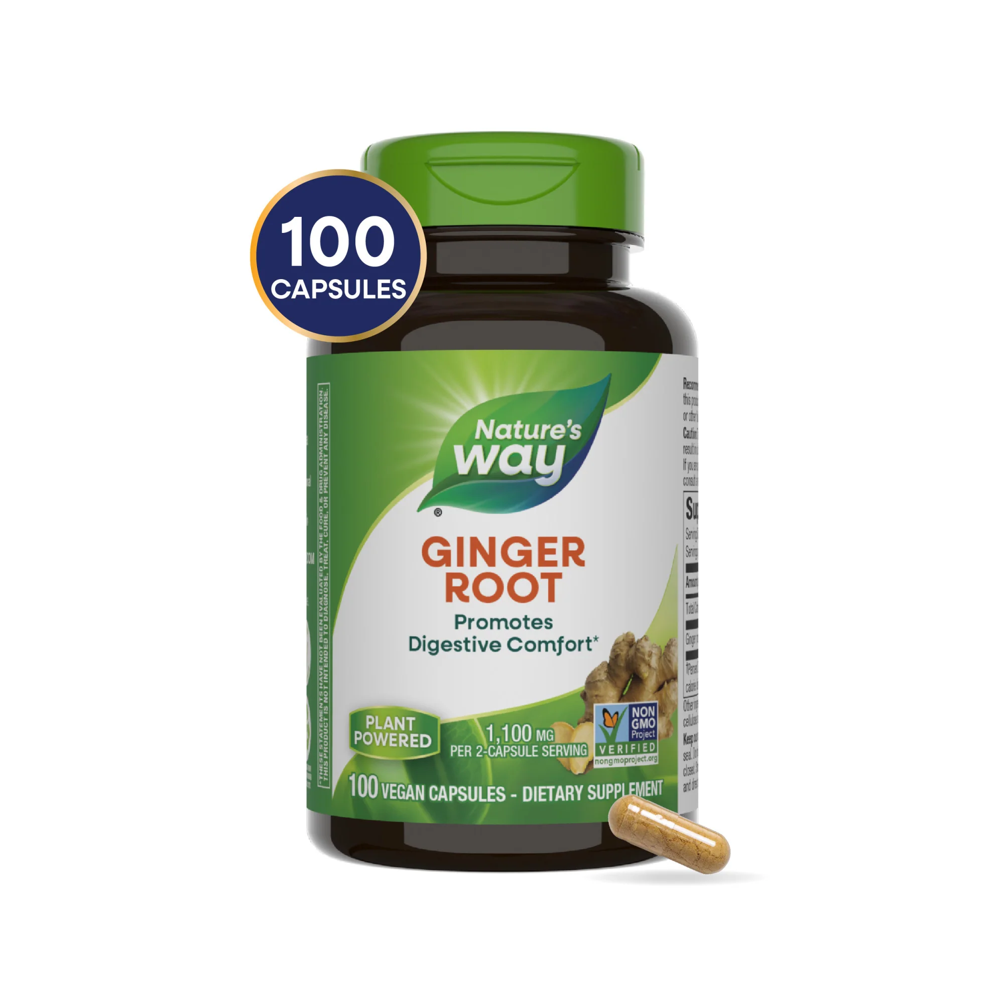 Ginger Root - For Traditional Digestive Support - Image 4