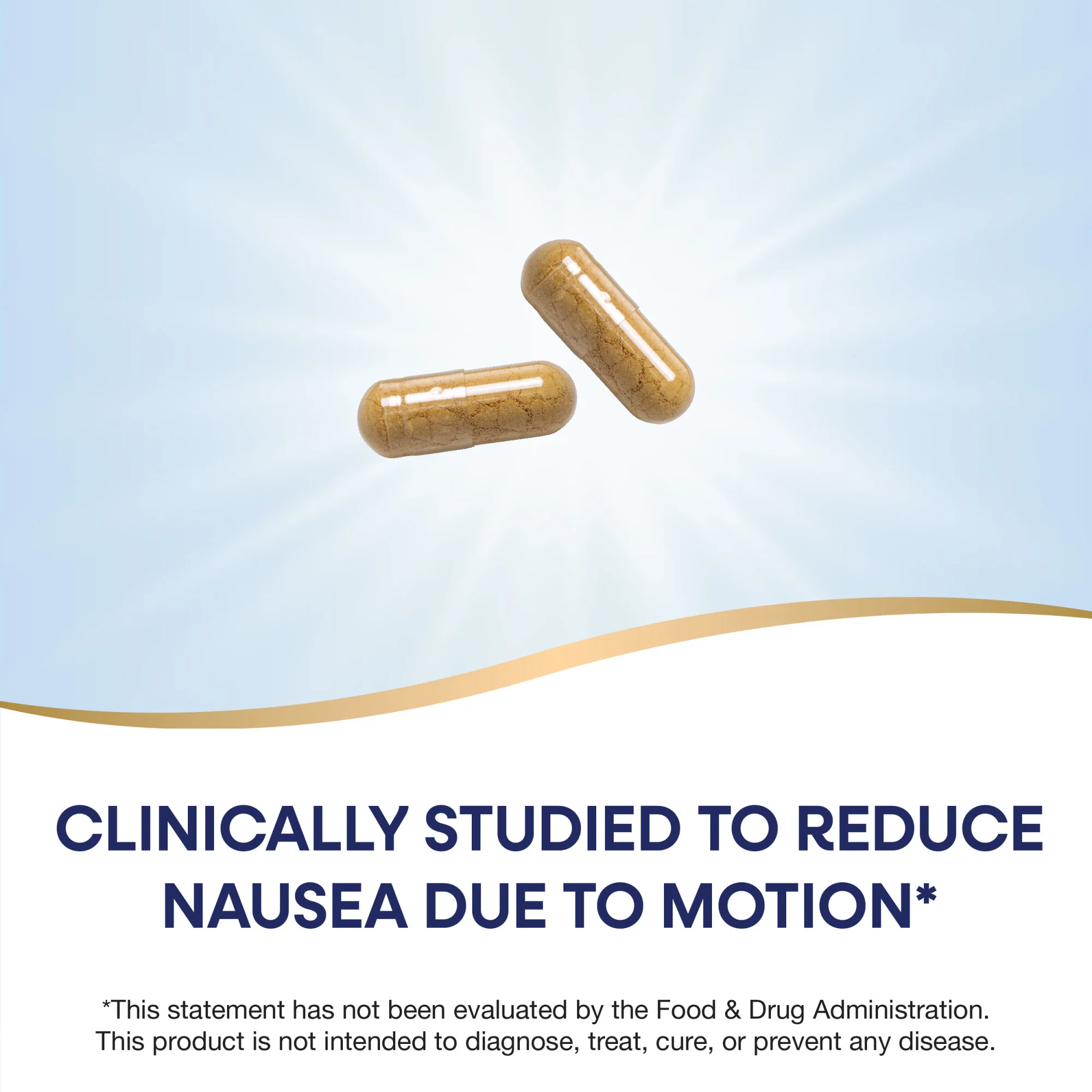 Ginger Root - For Traditional Digestive Support - Image 7