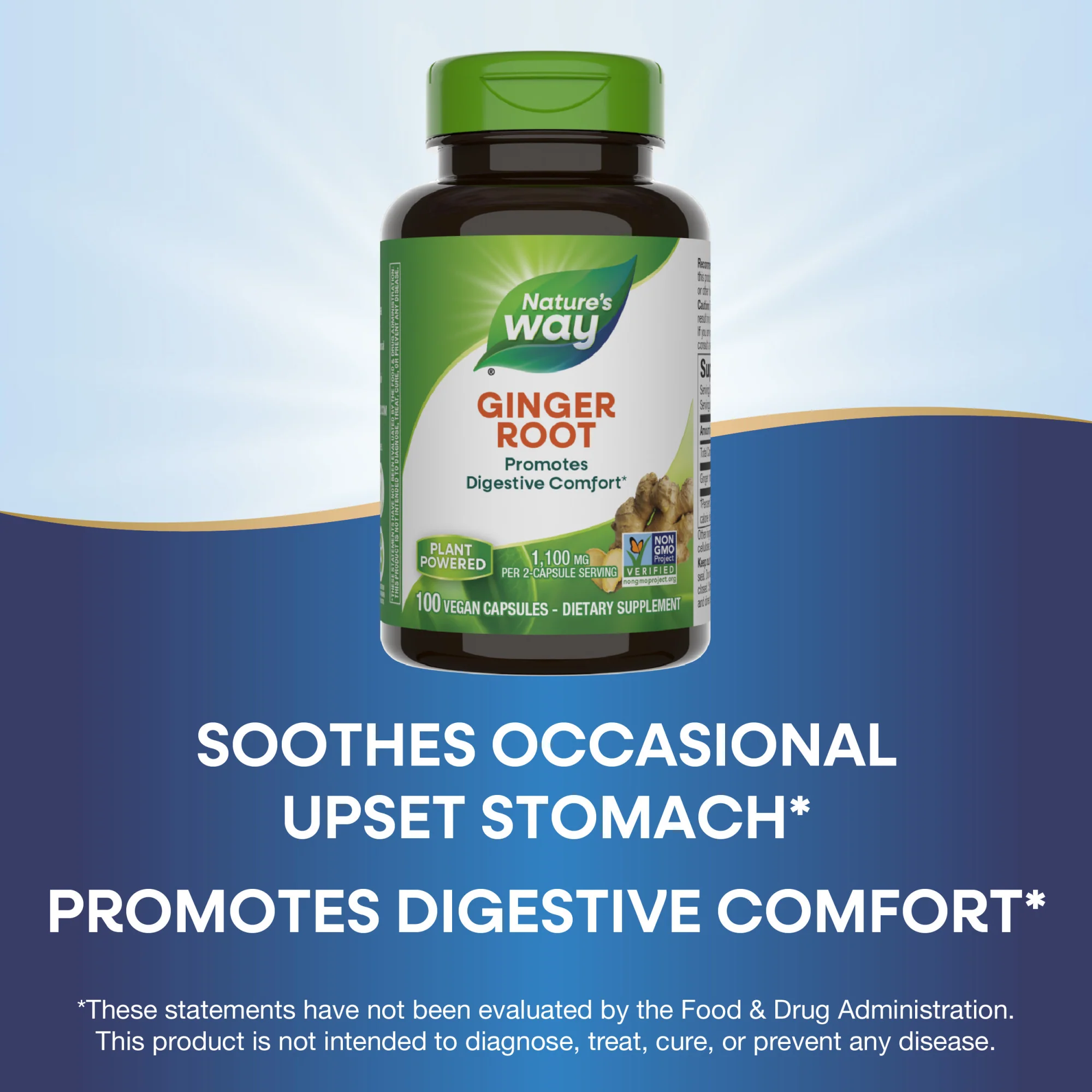 Ginger Root - For Traditional Digestive Support - Image 8