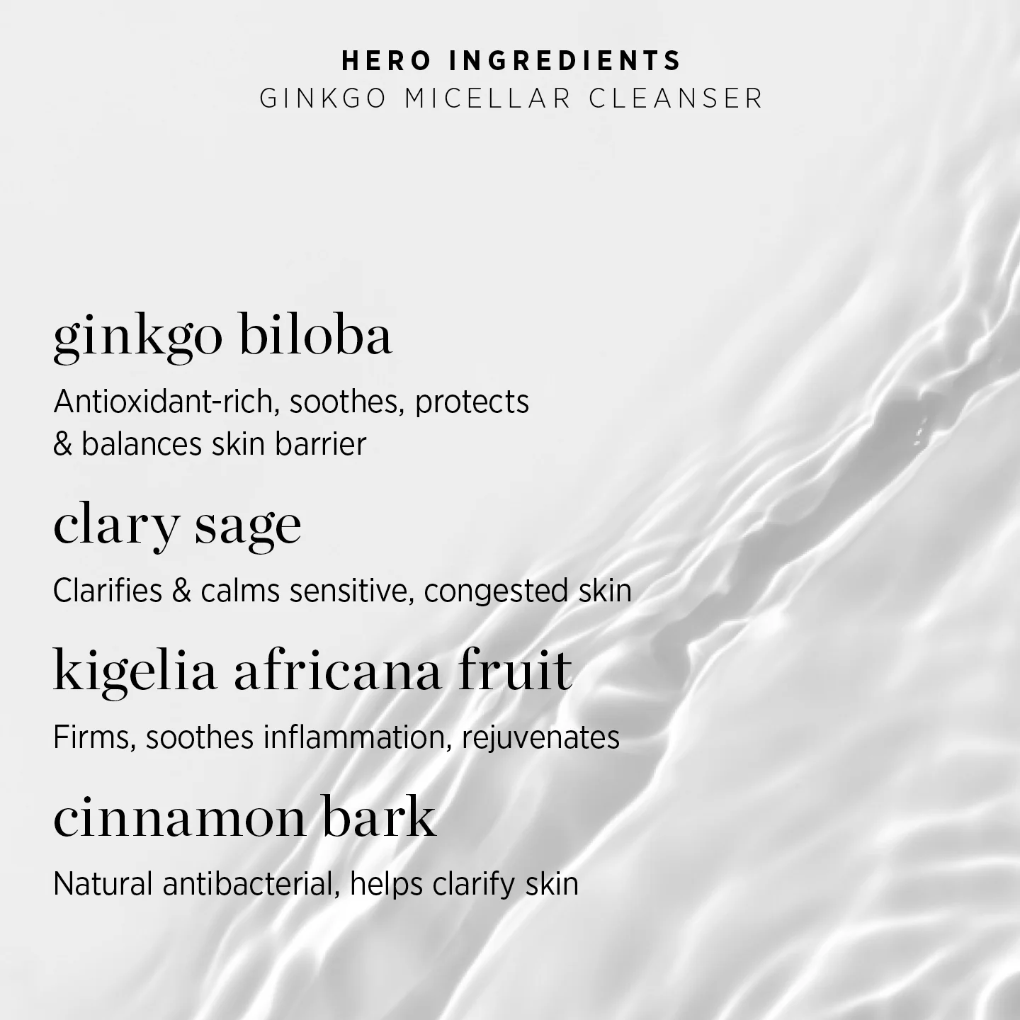 Ginkgo Micellar Cleanser - Image 6