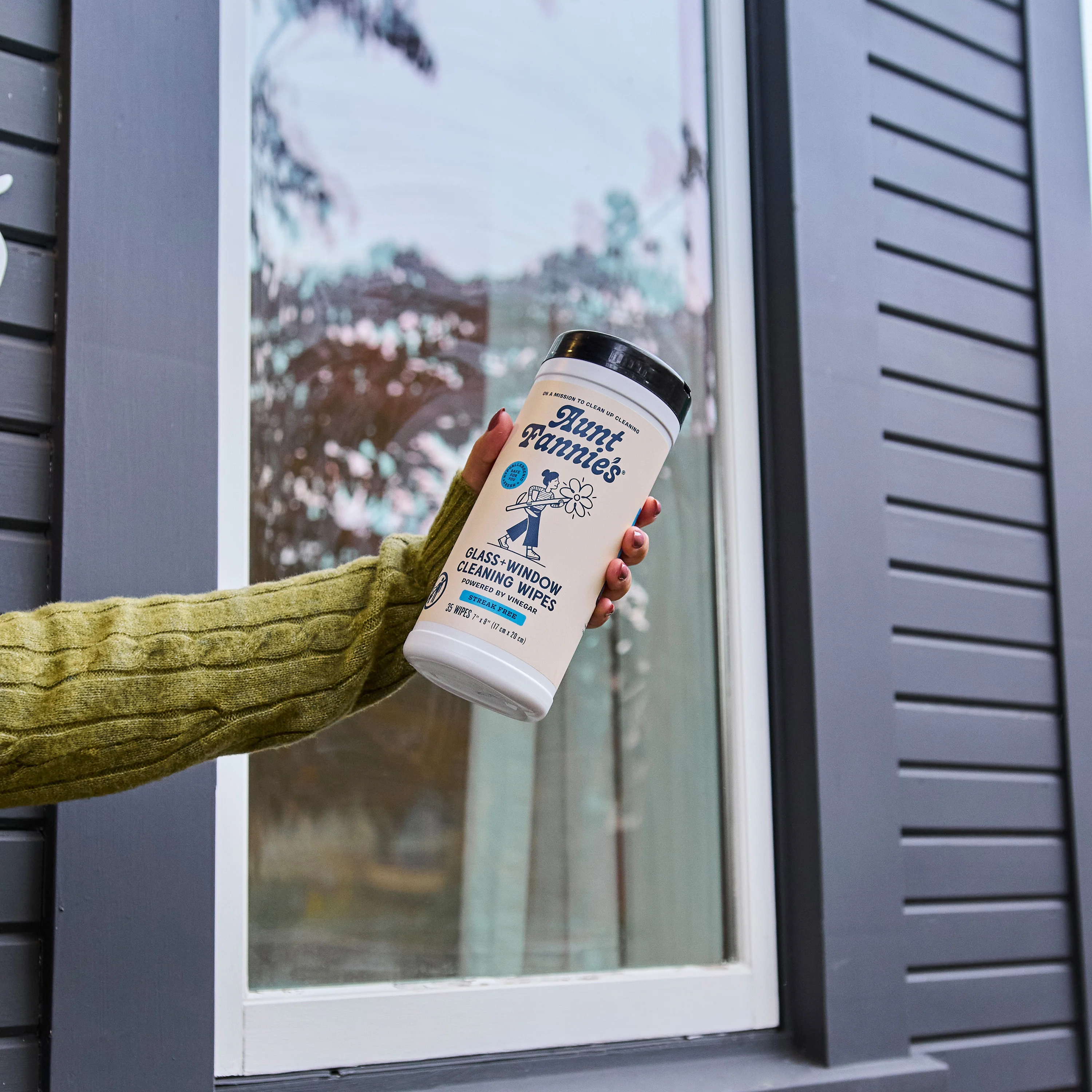 Glass + Window Cleaning Wipes - Image 5