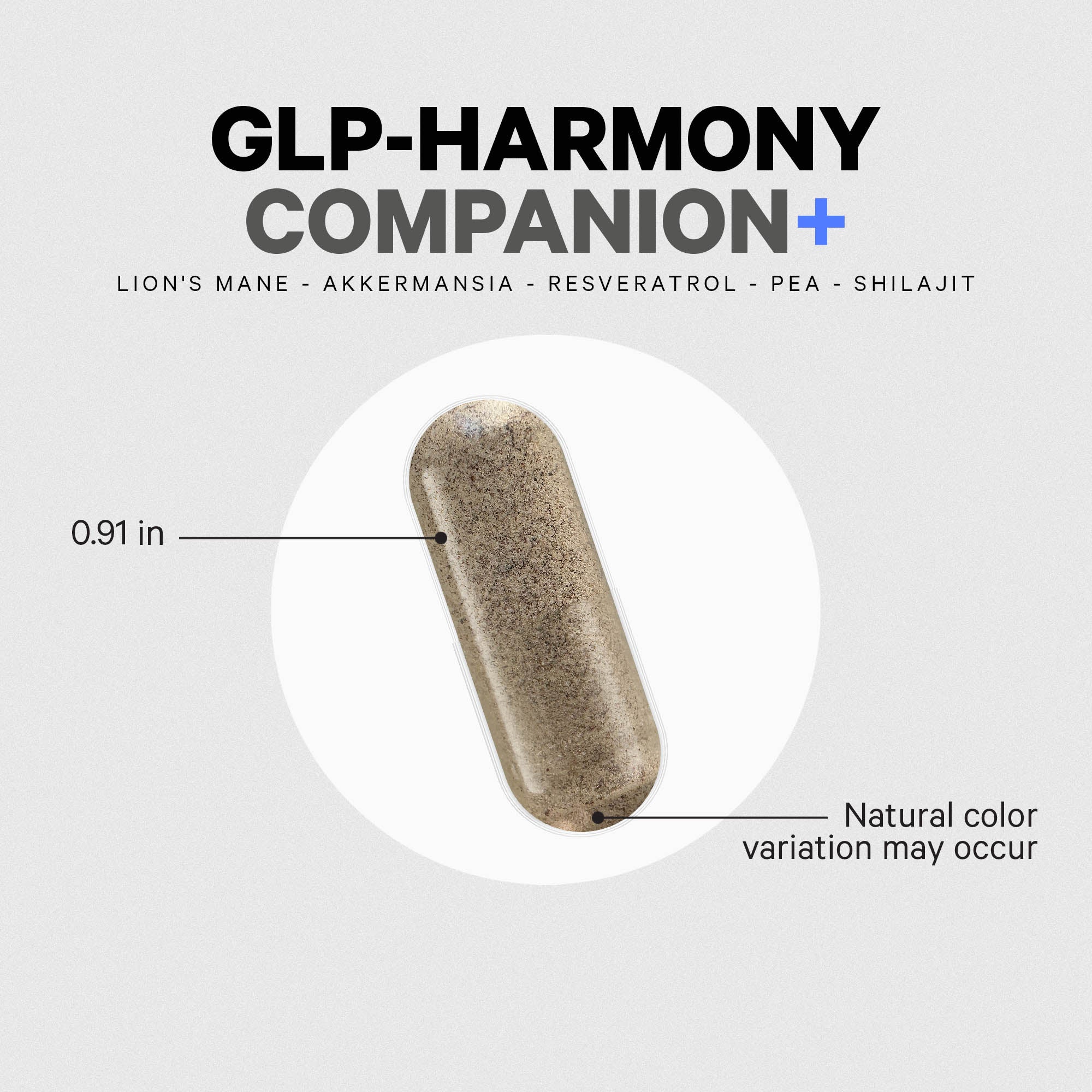 GLP-Harmony Companion - Image 7
