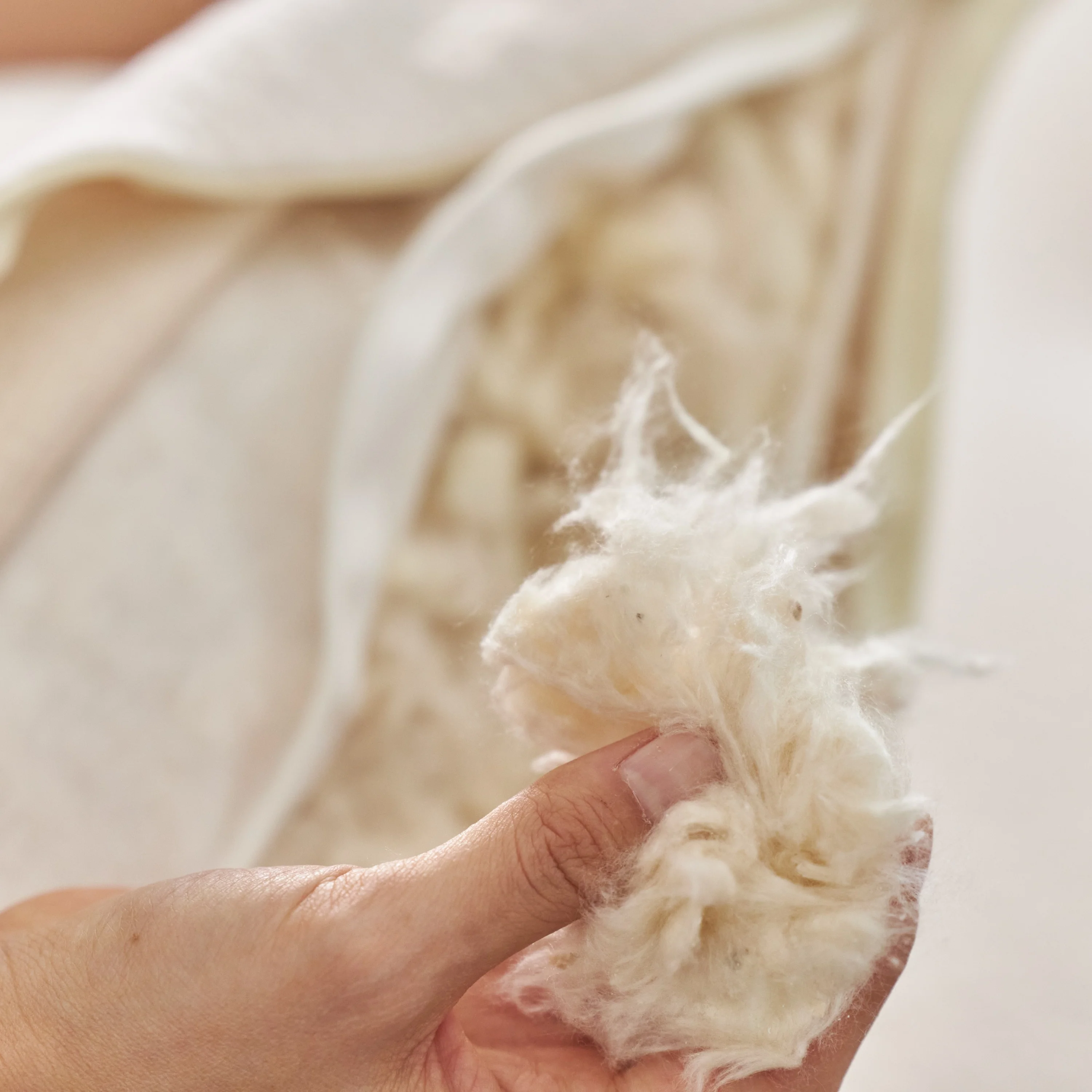 Green Pillow, Standard Shape - Image 5
