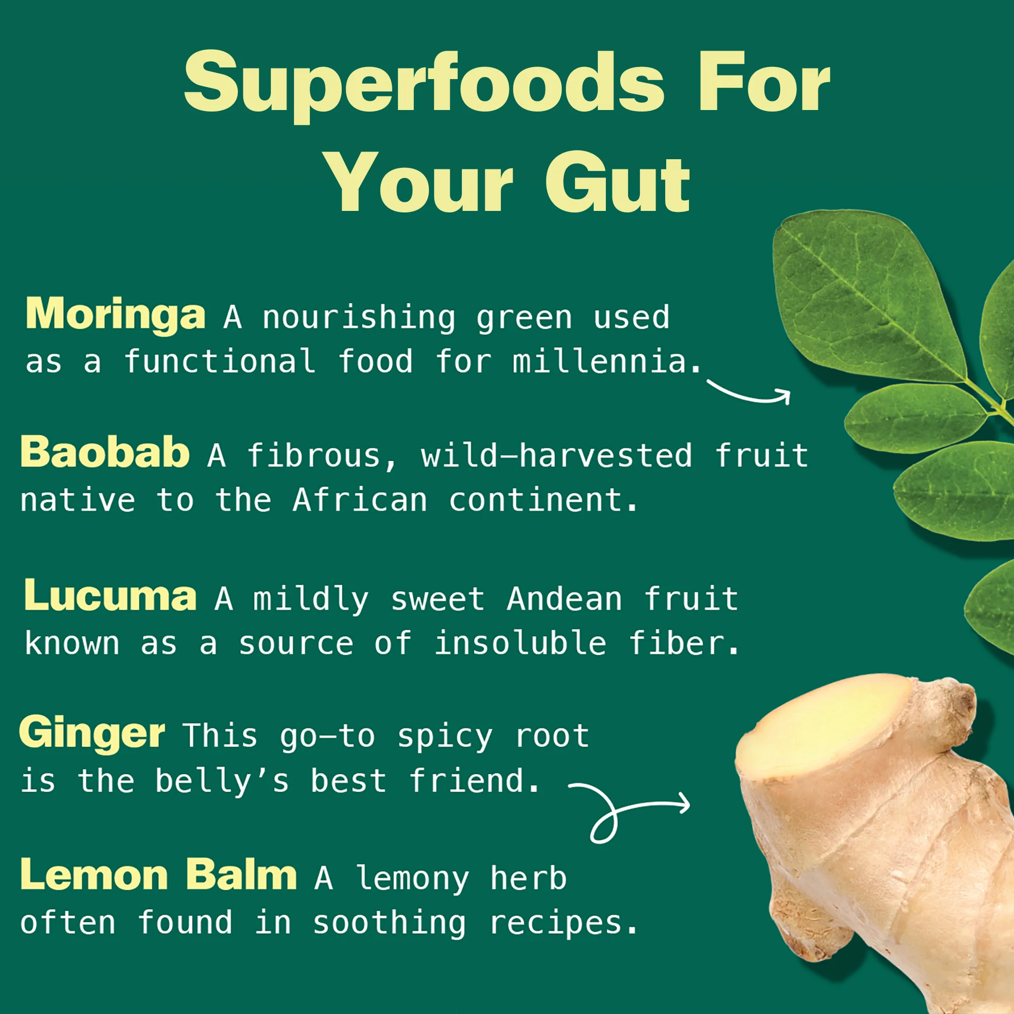 Gut Bliss Organic Superfood Blend - Image 8