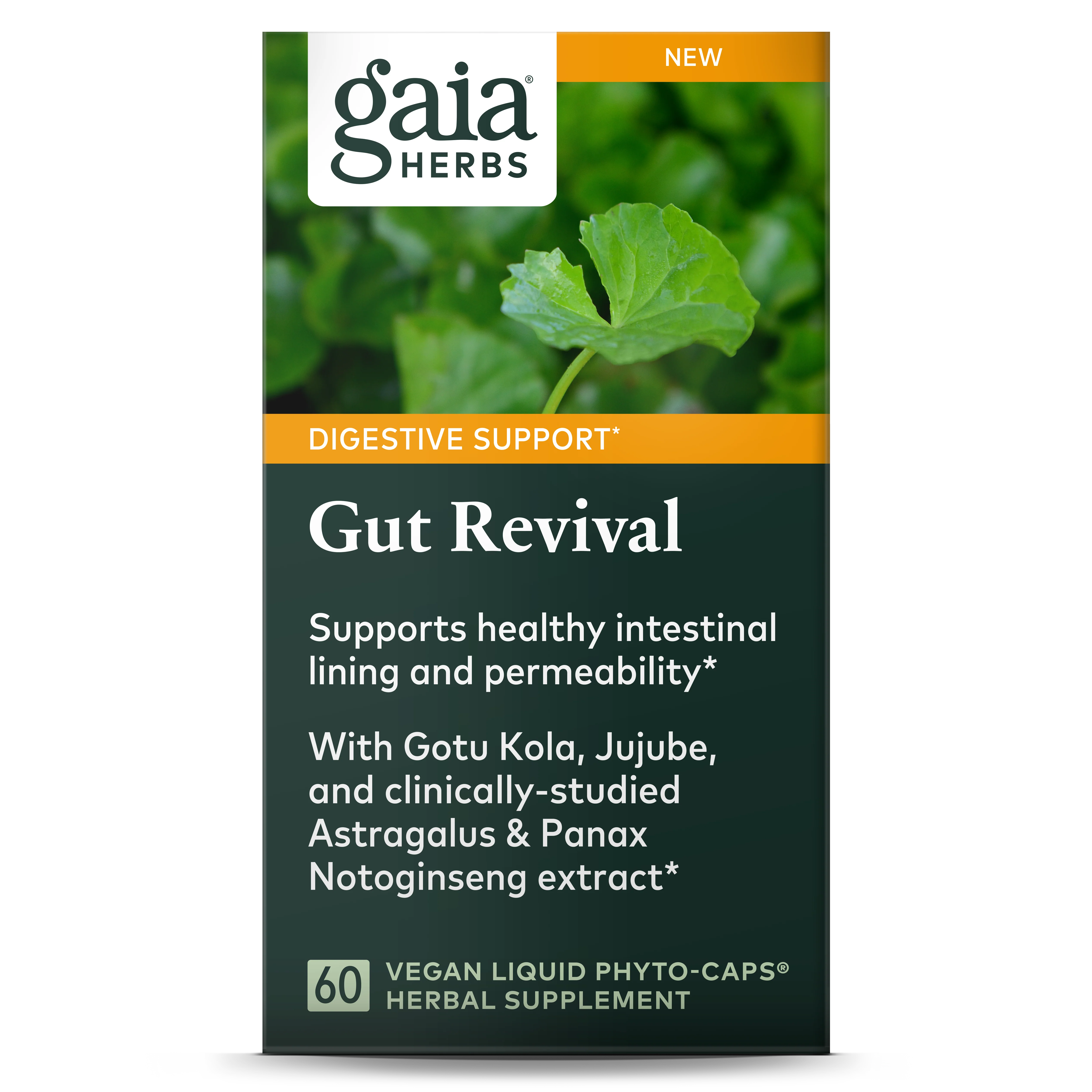 Gut Revival - Image 4