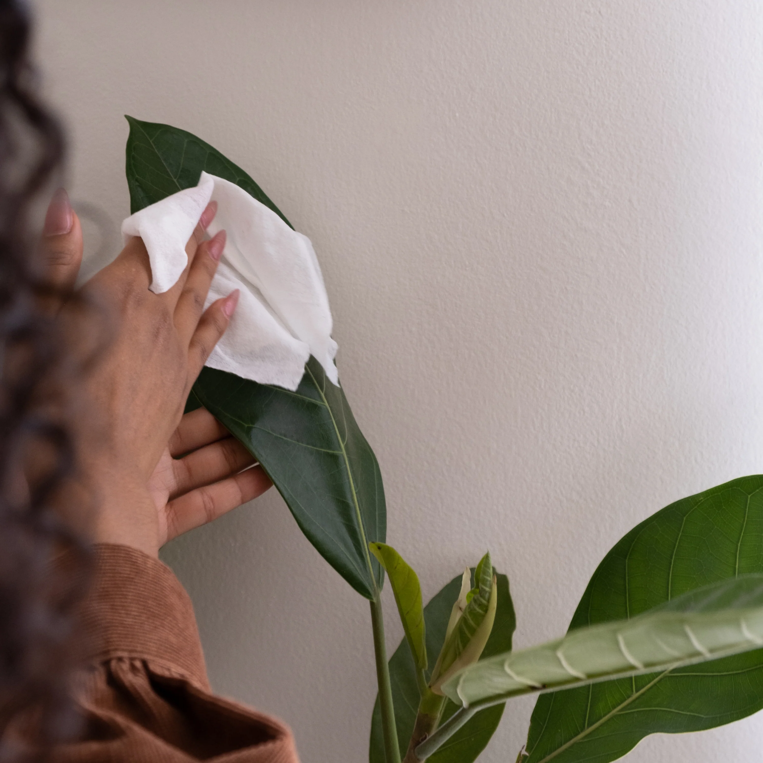 Hand Sanitizing Wipe Refills - Image 5