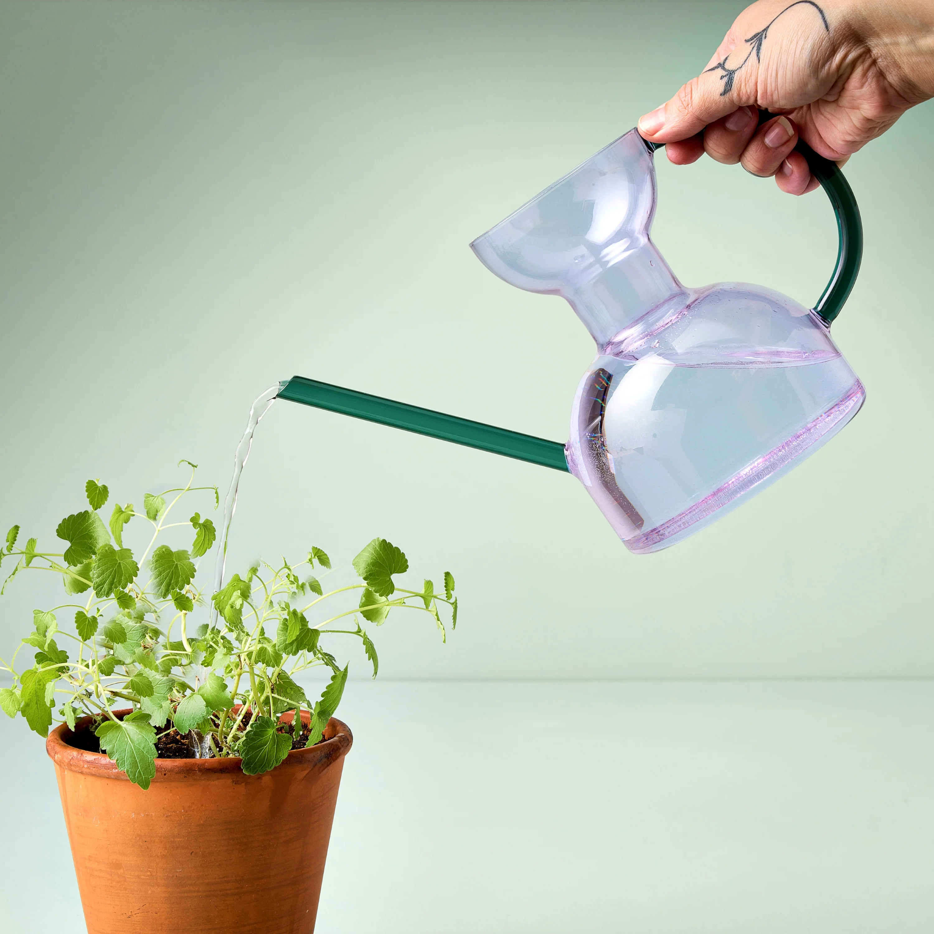 Handcrafted Borosilicate Glass Watering Can - Image 7