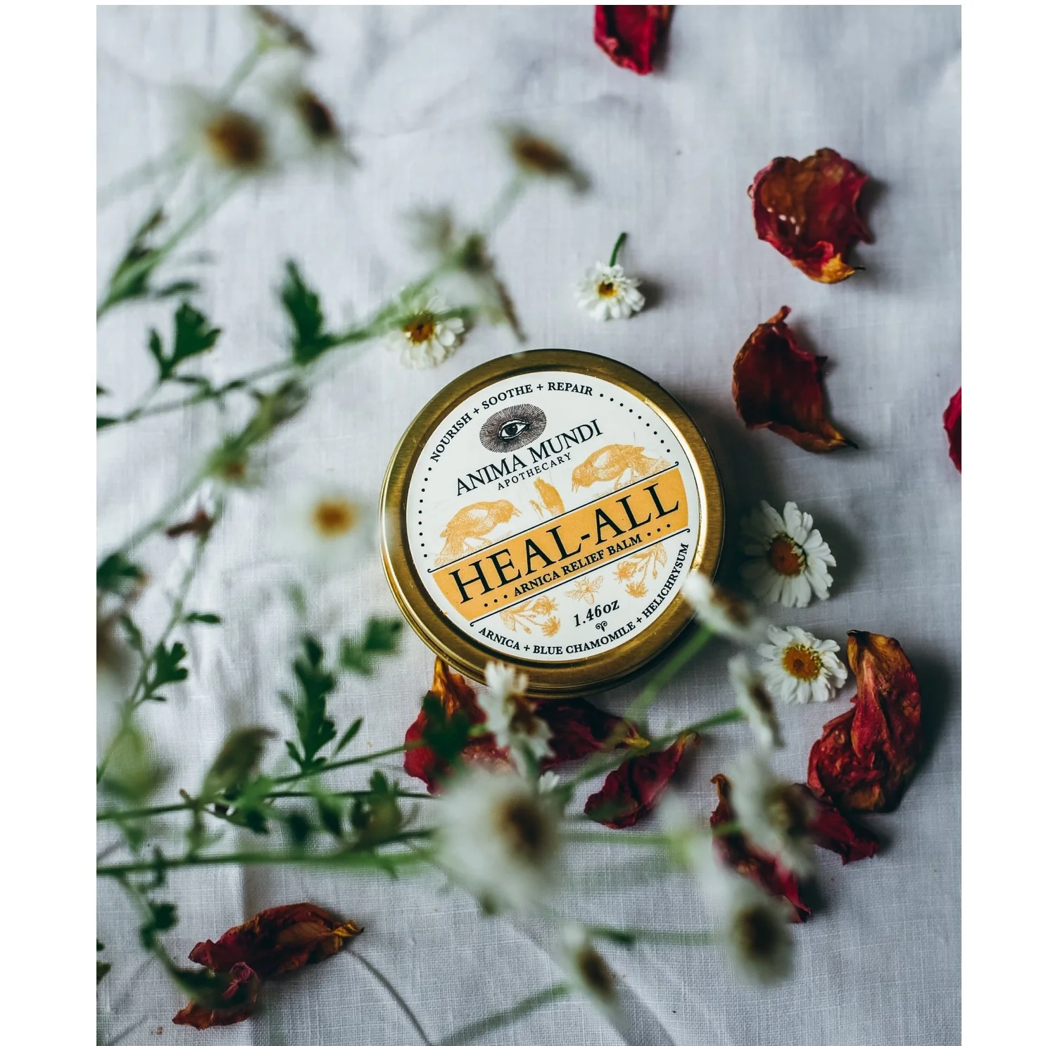 HEAL-ALL Arnica Relief Balm, Nourish, Soothe + Repair - Image 4
