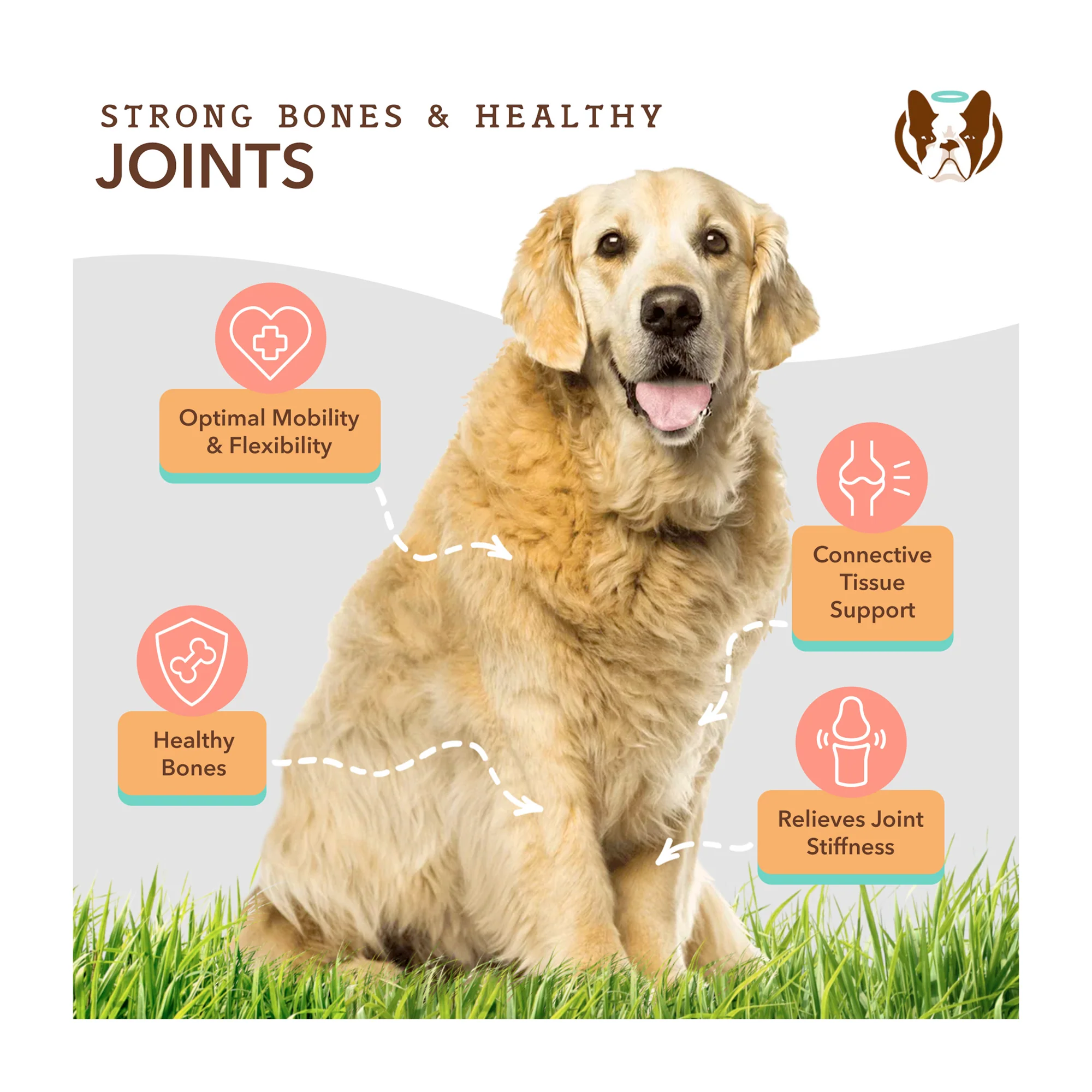 Hip & Joint Oil - Image 8