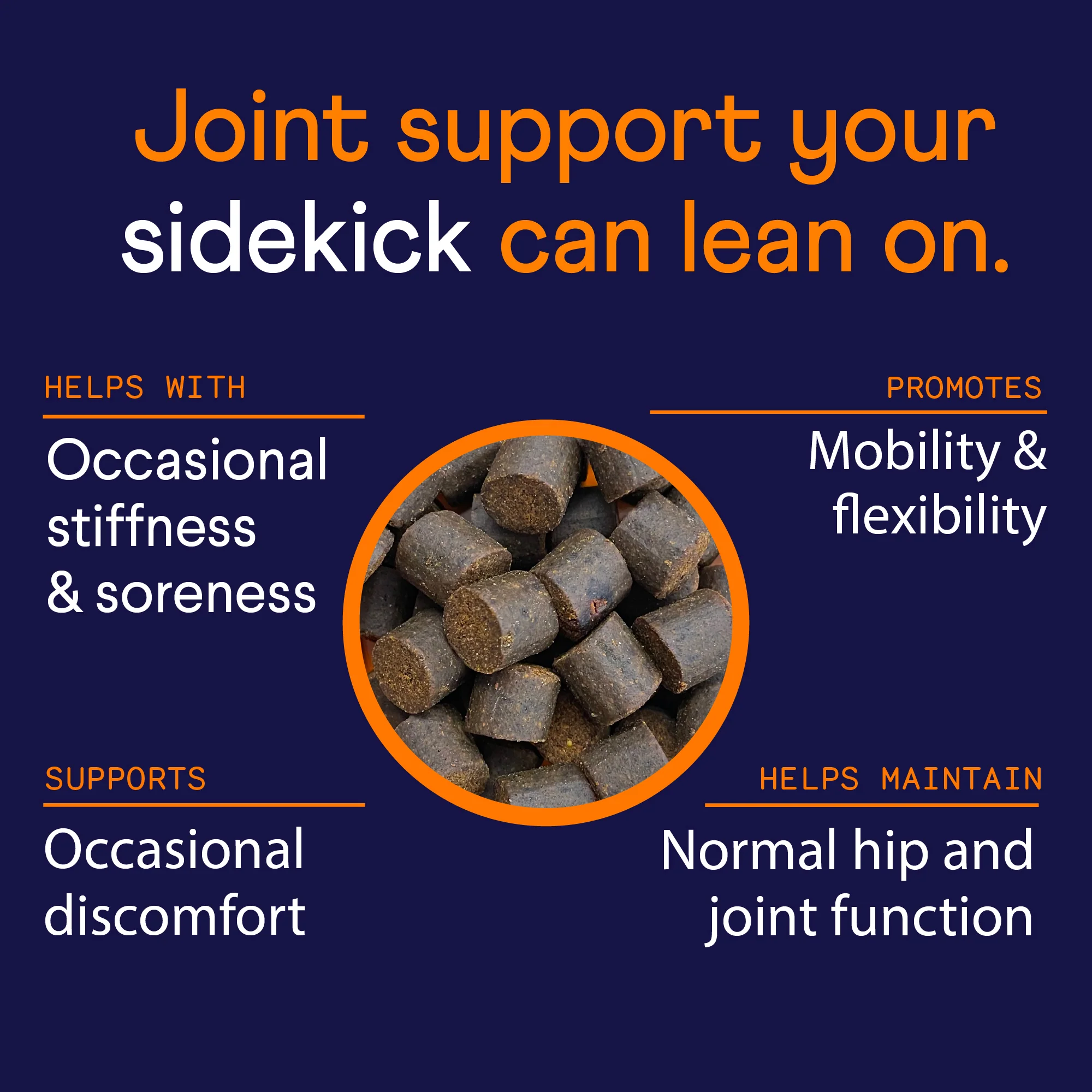 Hip & Joint Supplement for Dogs - Image 6