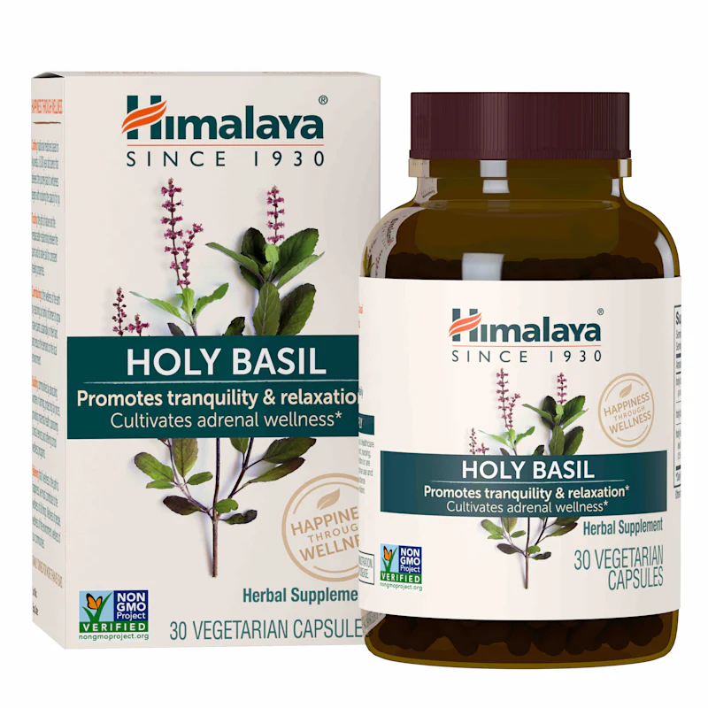 Holy Basil - Image 6
