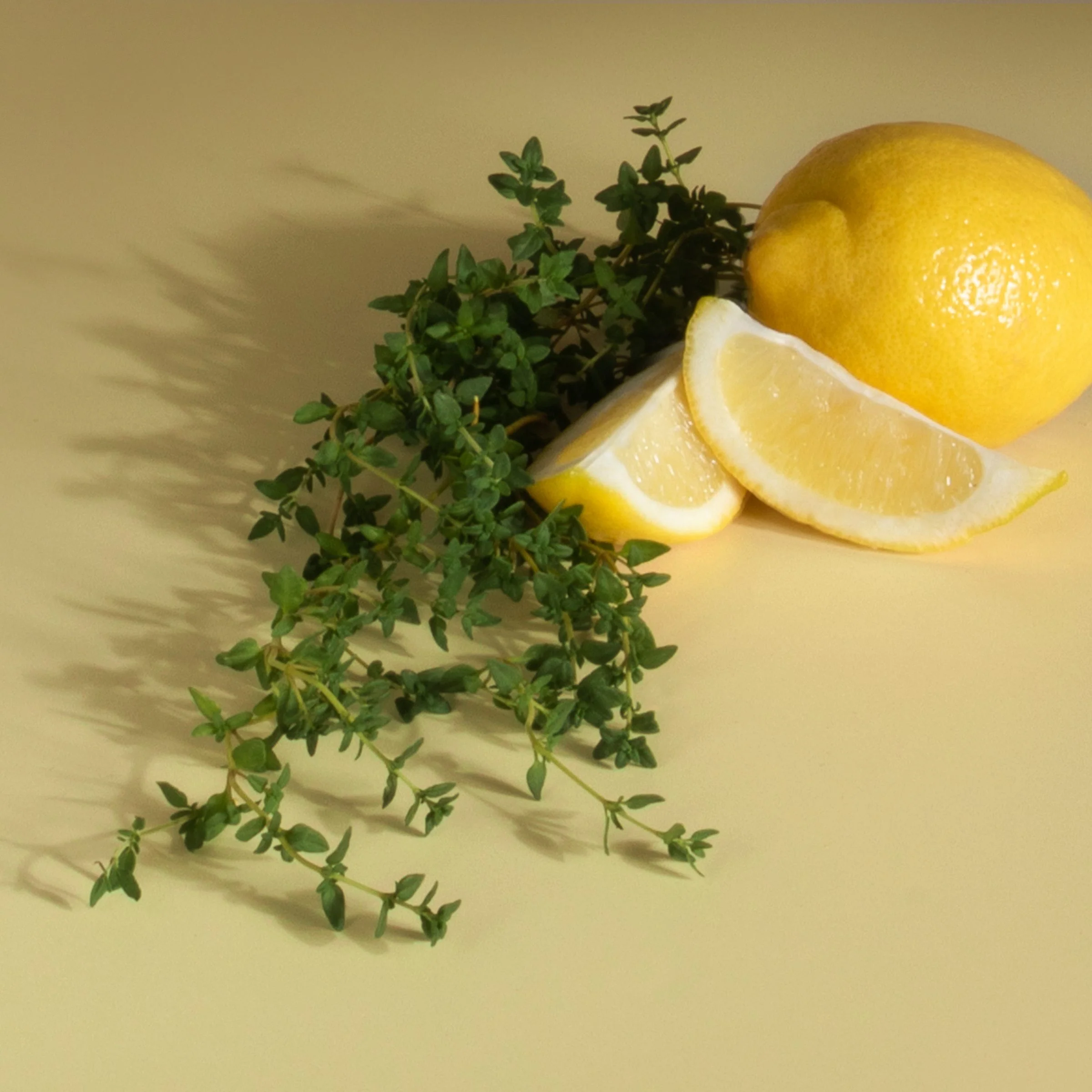 Stix Diffuser Air Freshener Refill - Image 51