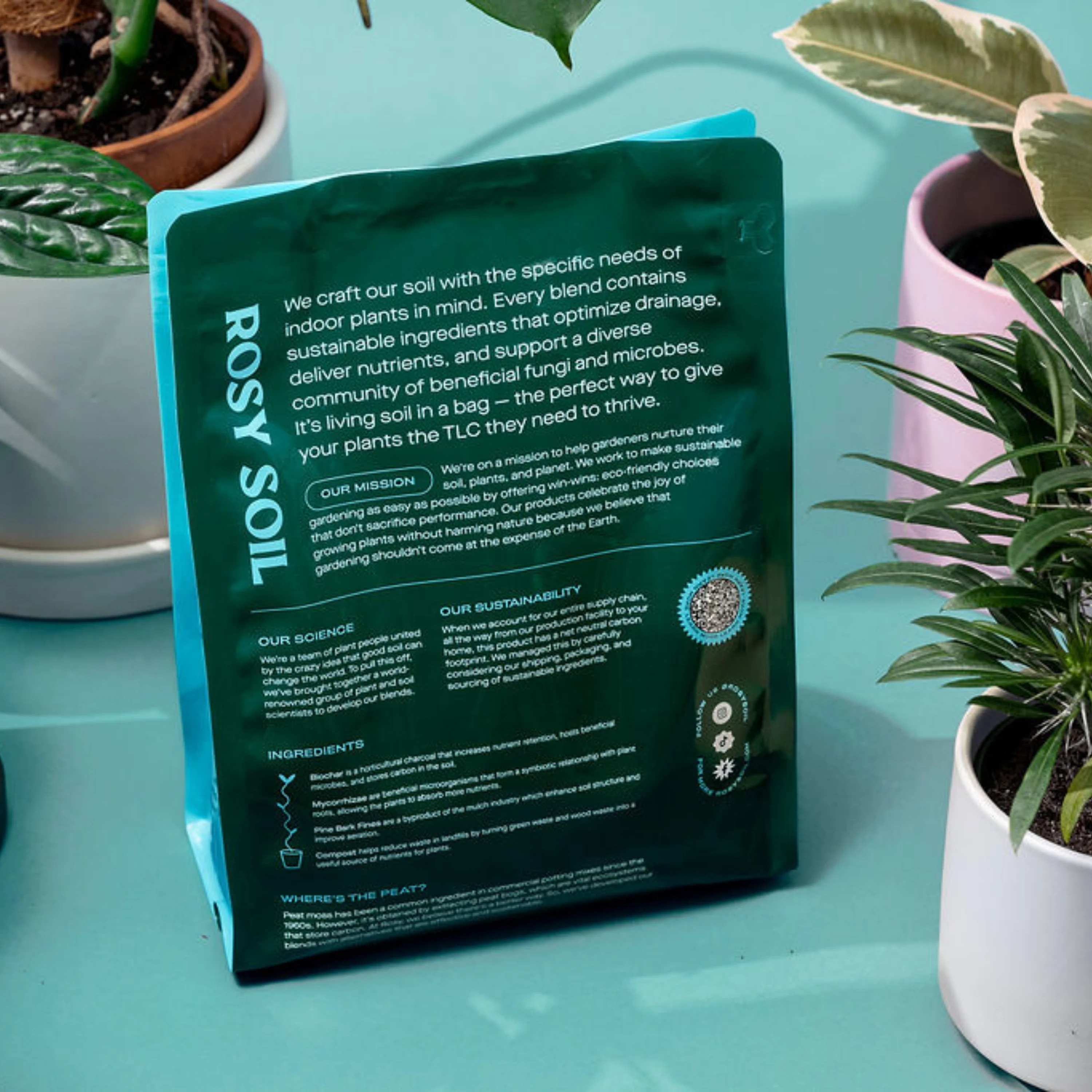 Houseplant Potting Soil - Image 15