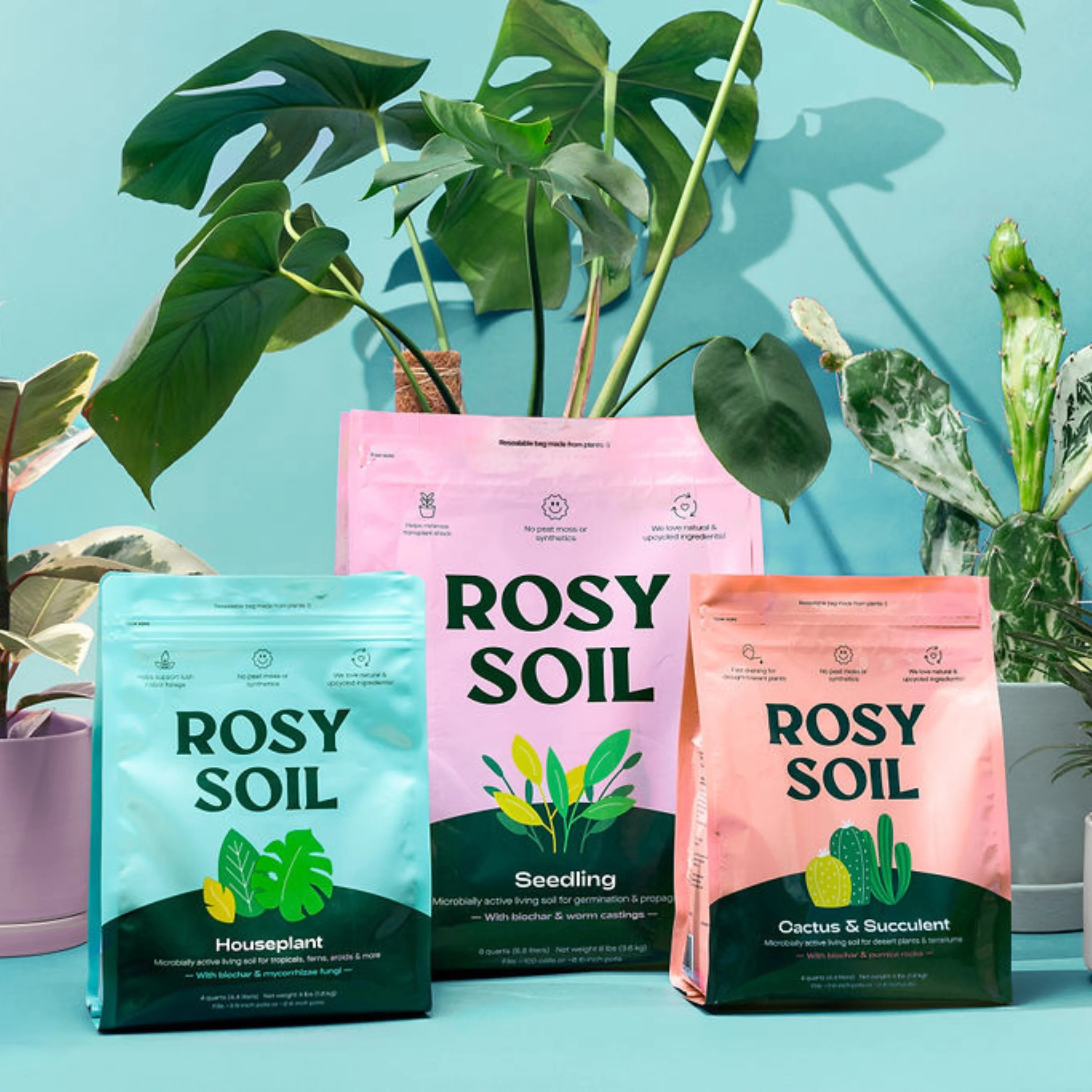Houseplant Potting Soil - Image 16