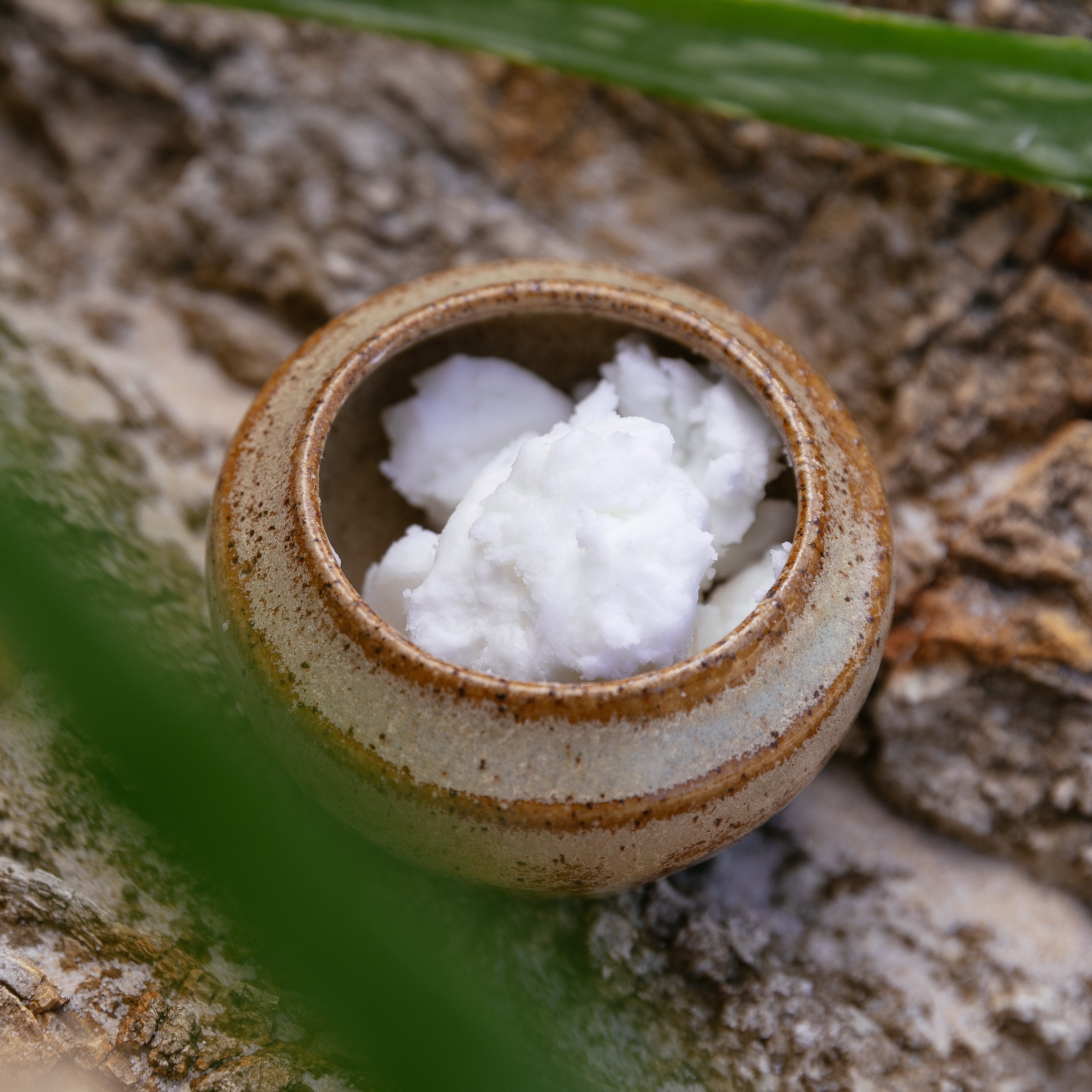 Hydrate Conditioner - Image 4