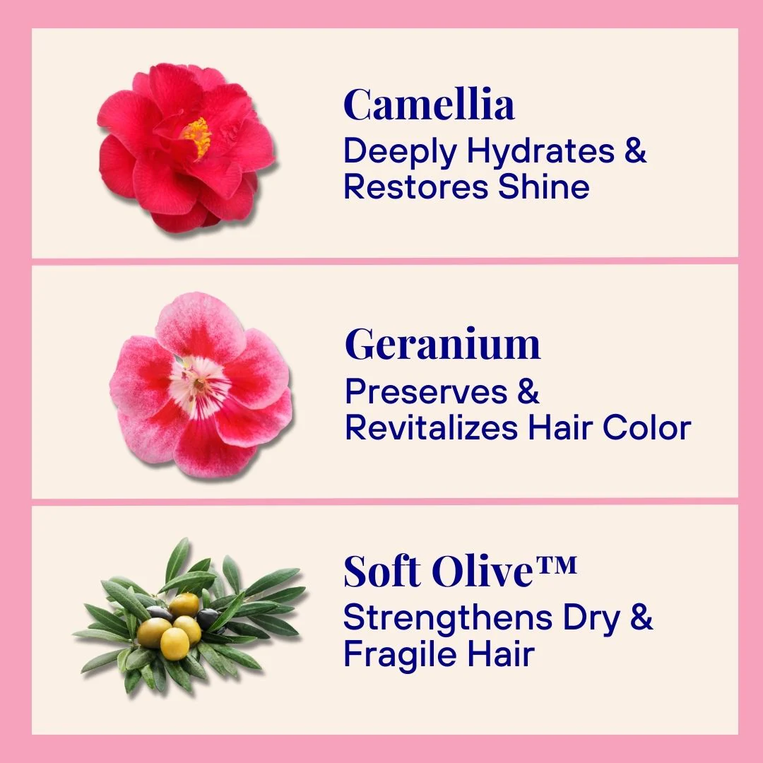Hydrating & Replenishing Powder Shampoo - Image 11