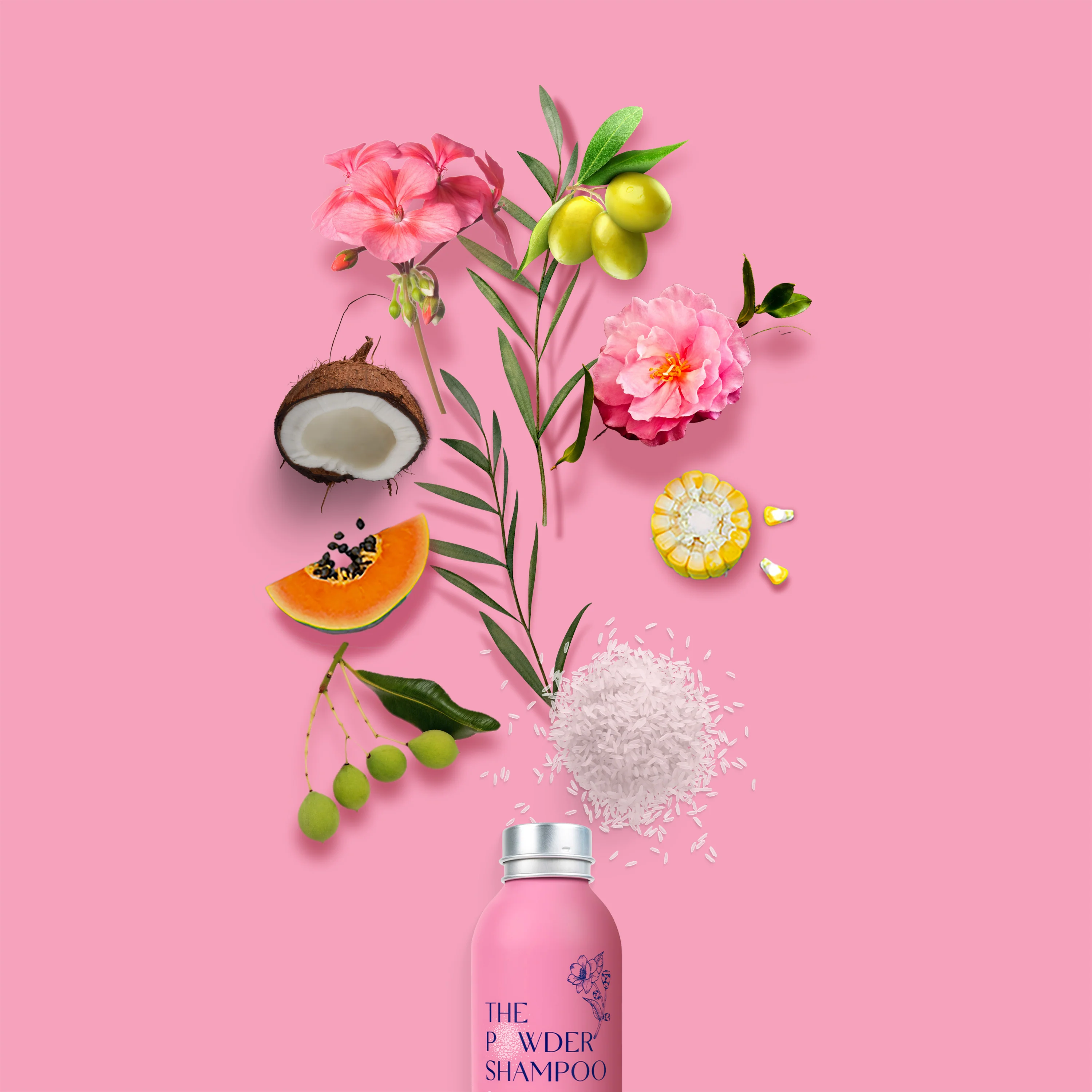 Hydrating & Replenishing Powder Shampoo - Image 7