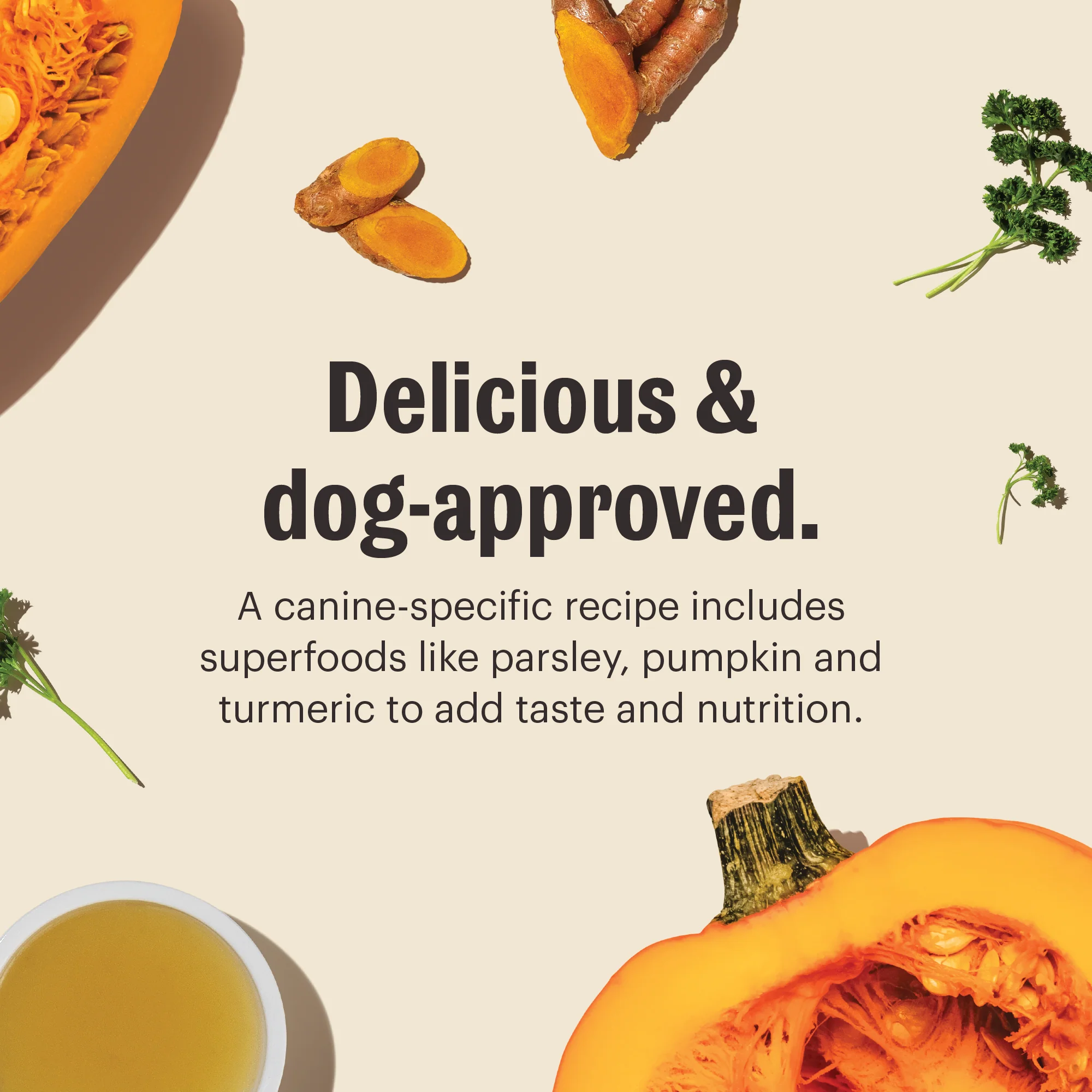Instant Beef Dog Bone Broth with Turmeric - Image 3