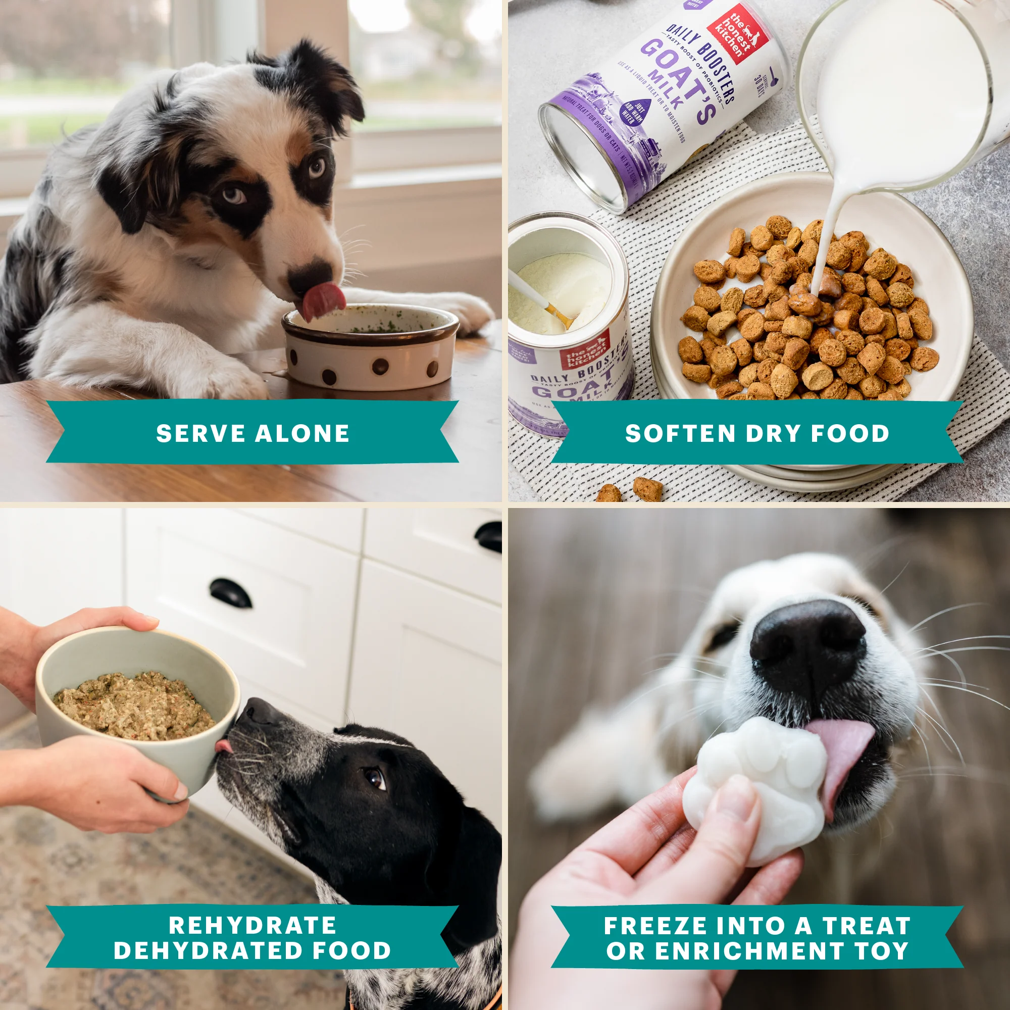 Instant Beef Dog Bone Broth with Turmeric - Image 4