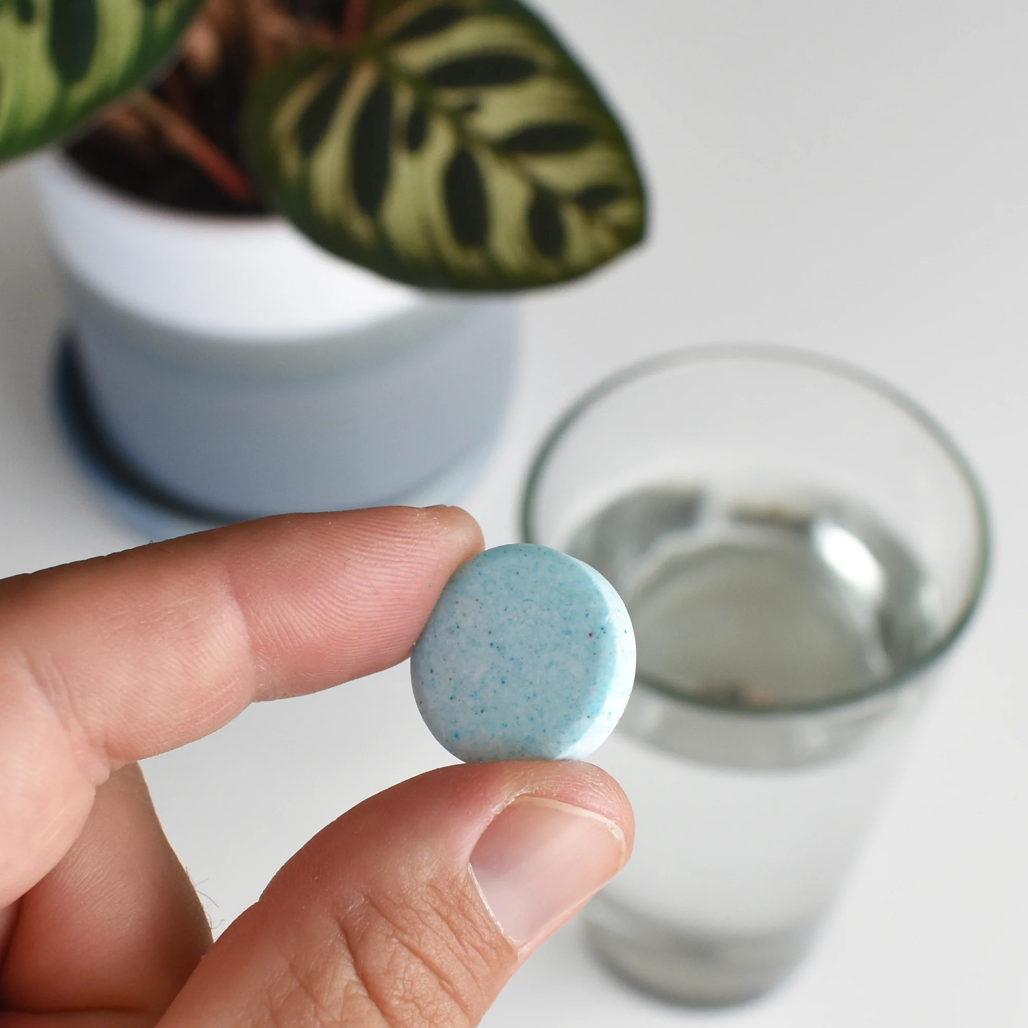 Instant Plant Food Tablets - Image 4