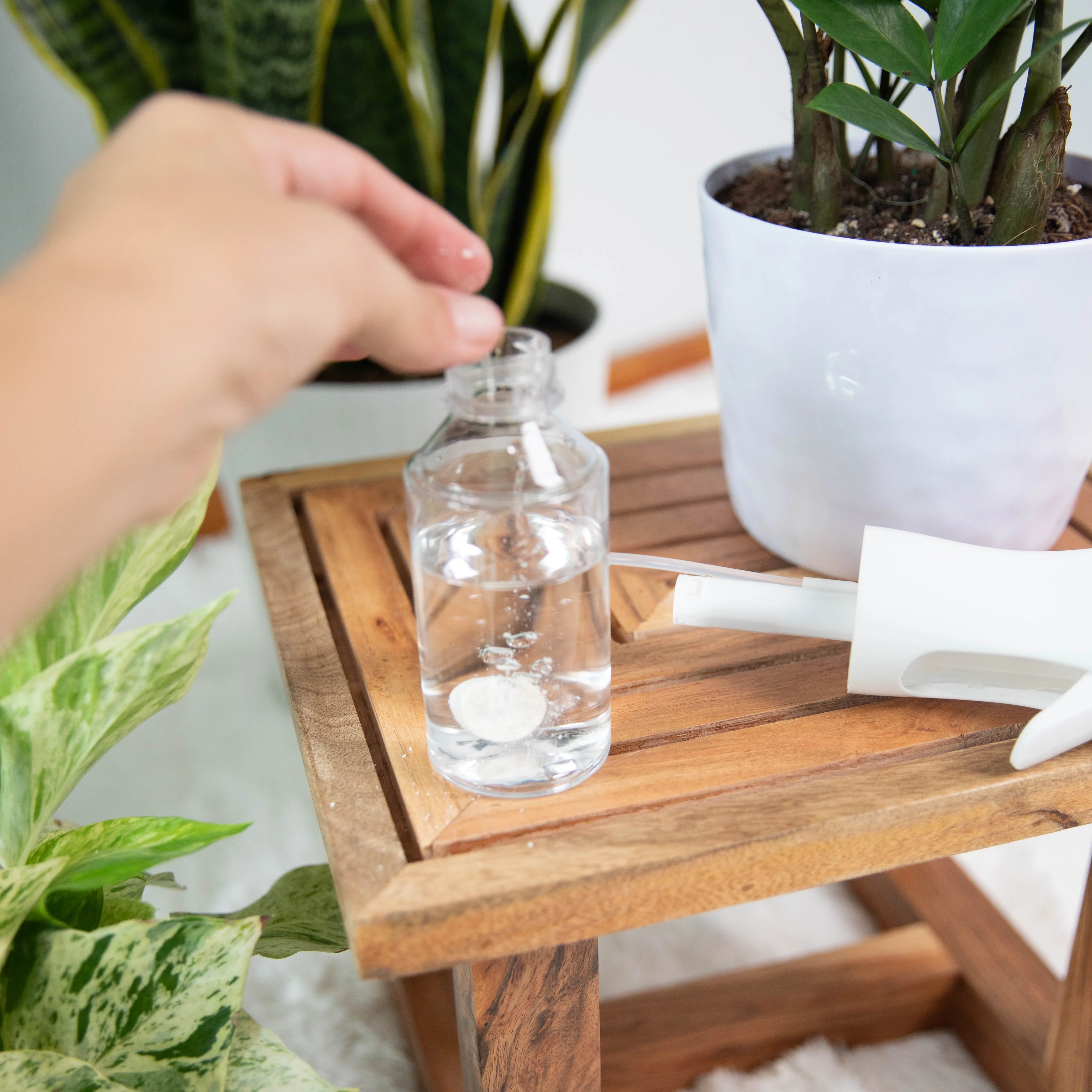 Instant Plant Protection - Image 4