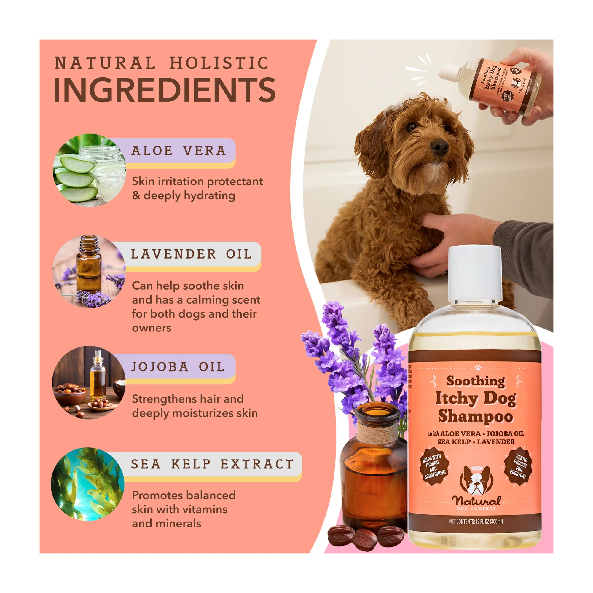 Itchy Dog Shampoo - Image 5