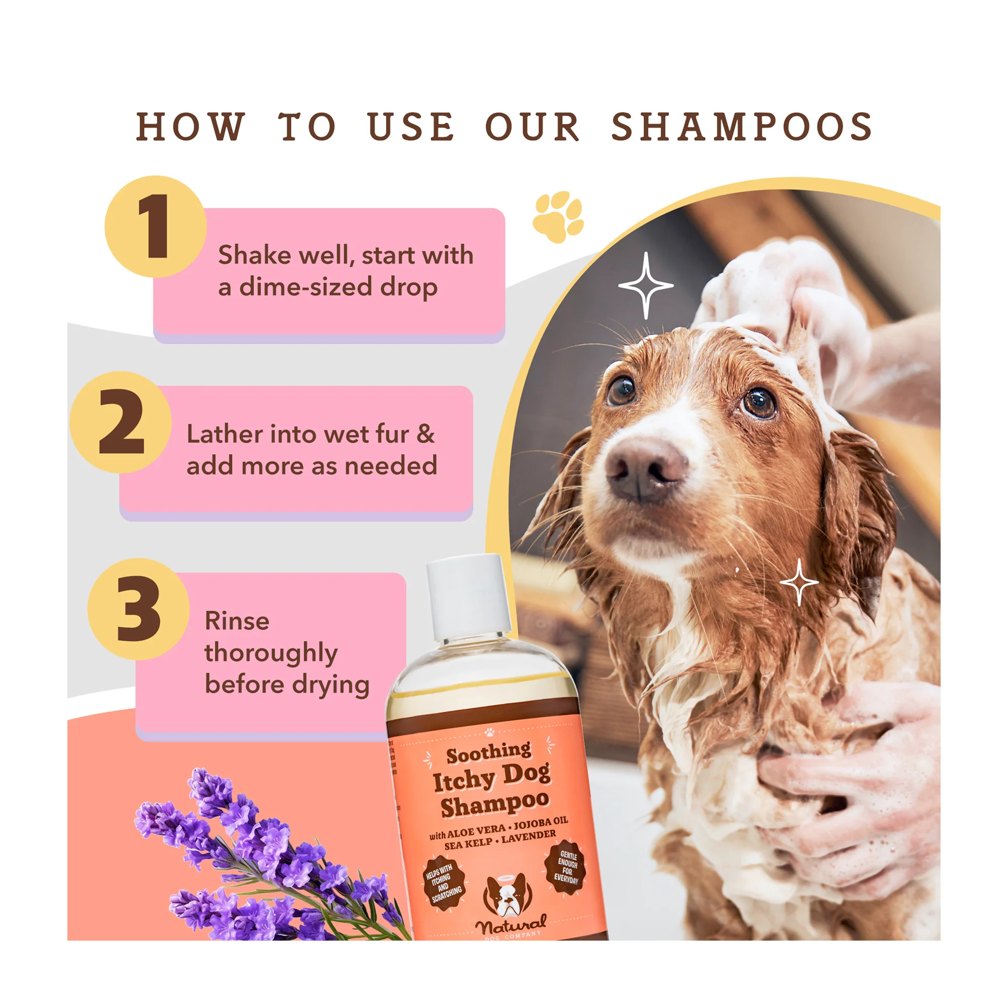 Itchy Dog Shampoo - Image 7