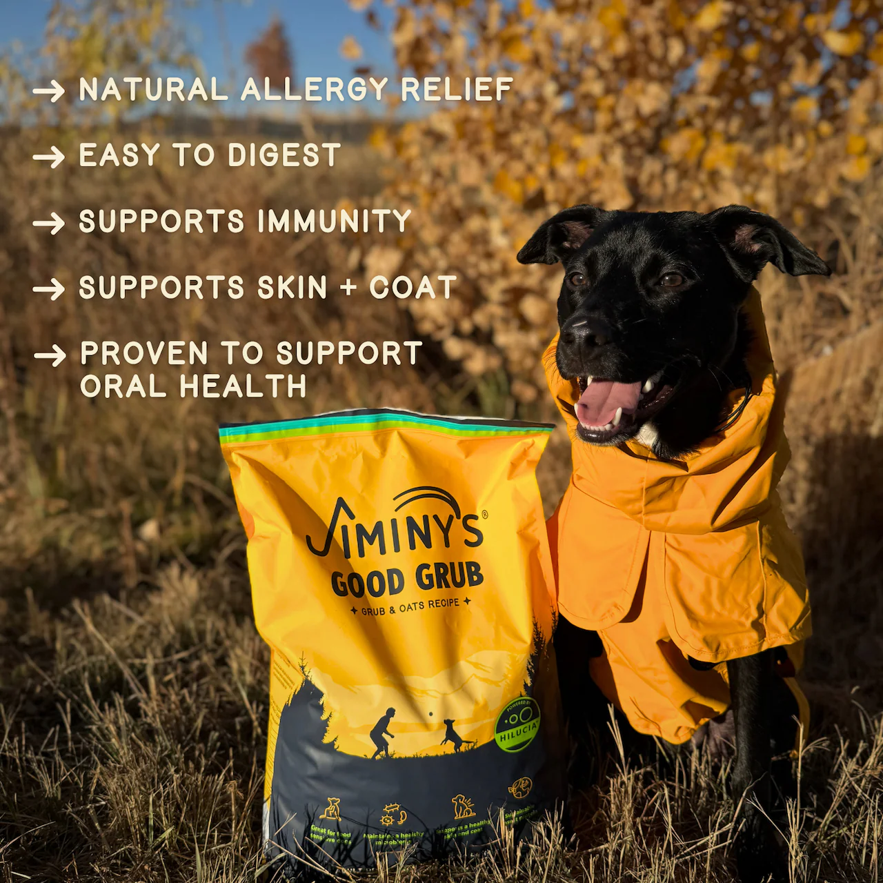 Jiminy's Good Grub Dry Dog Food, Allergy Relief, Healthy Skin & Coat - Image 5