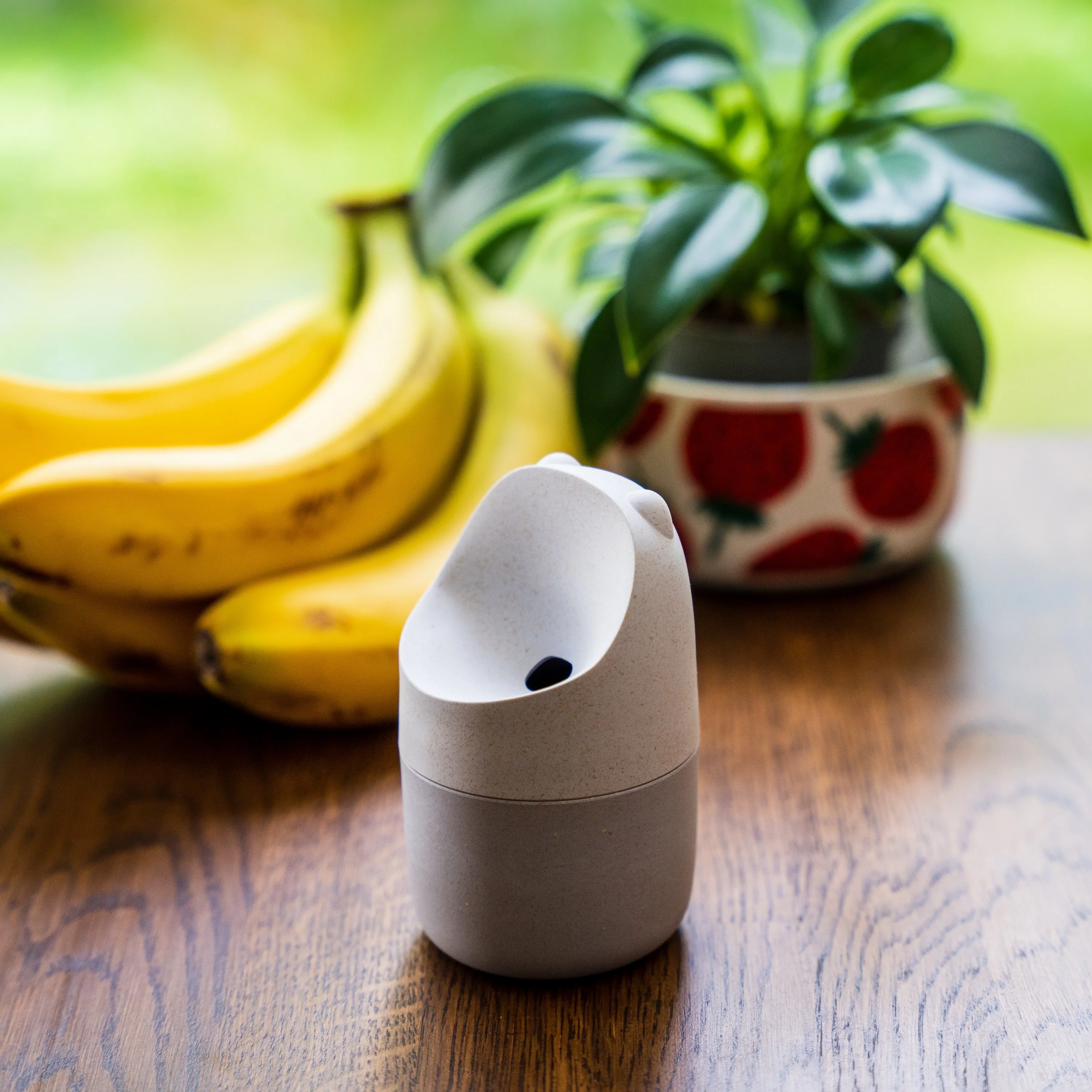 Konna Fly Trap - Image 3