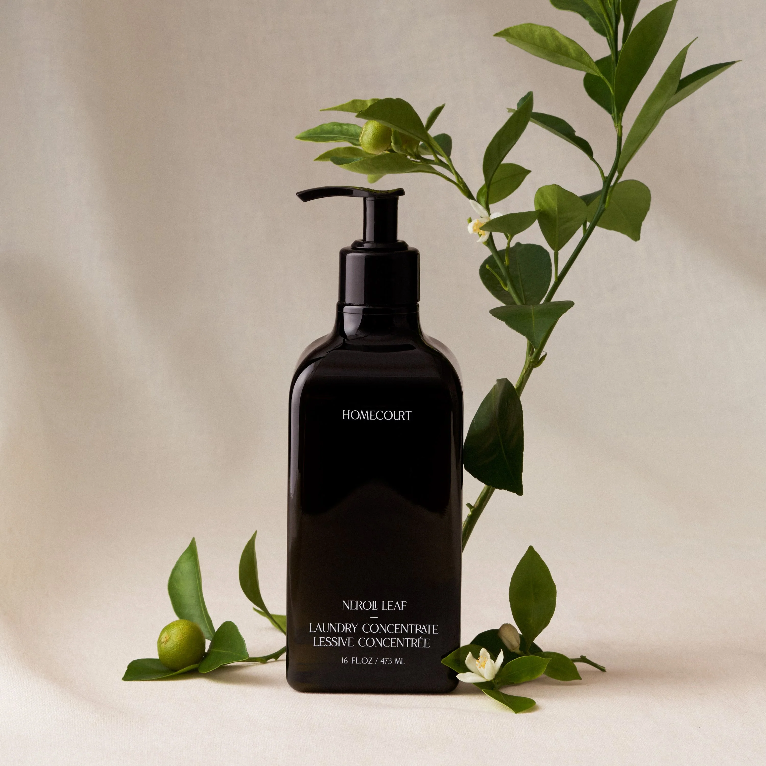 Laundry Concentrate - Image 12