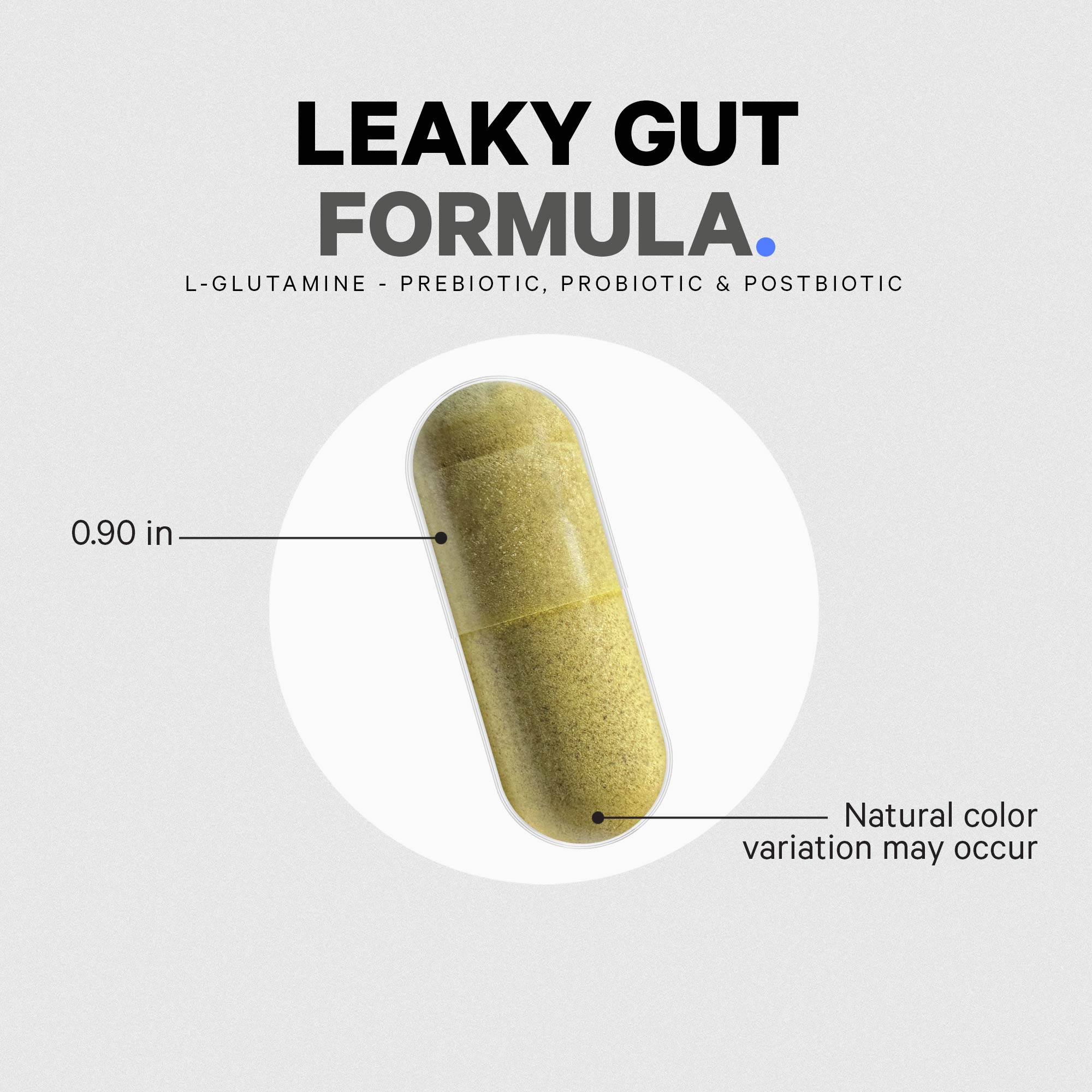 Leaky Gut Formula Capsules - Prebiotic, Probiotic, and Postbiotic - Image 8